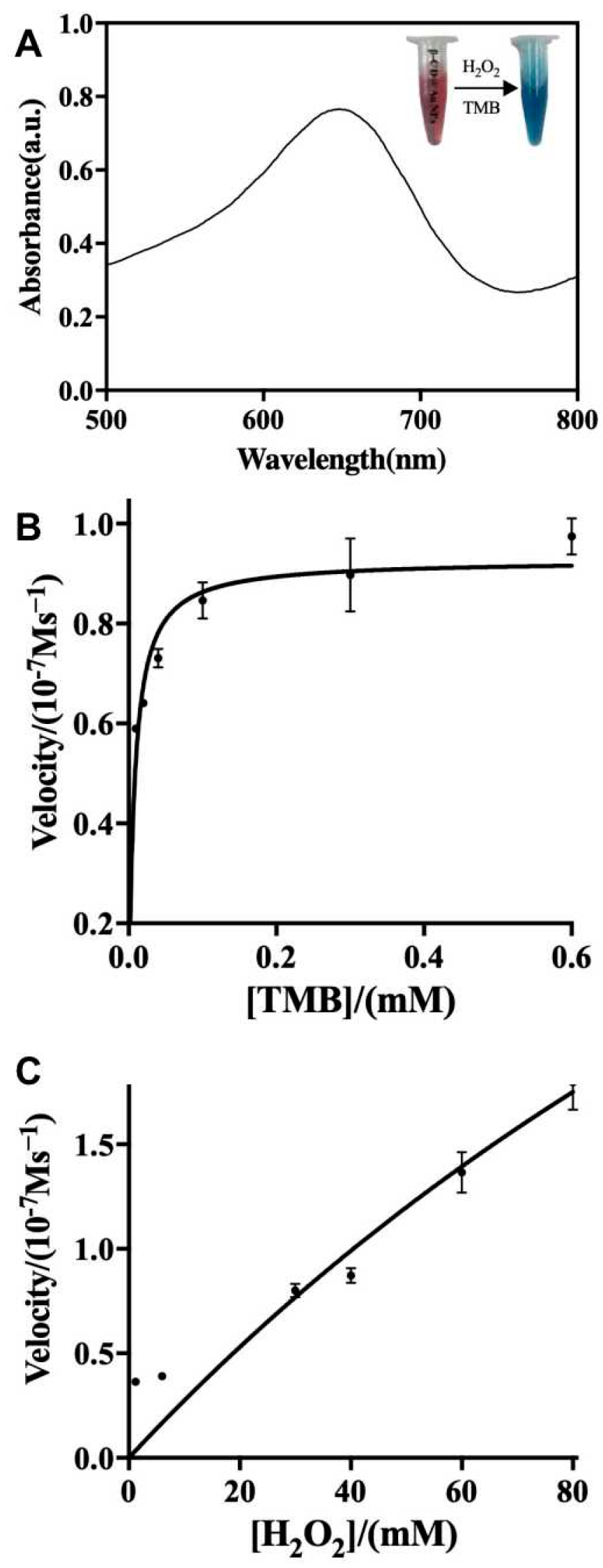 Biosensors 14 00169 g002