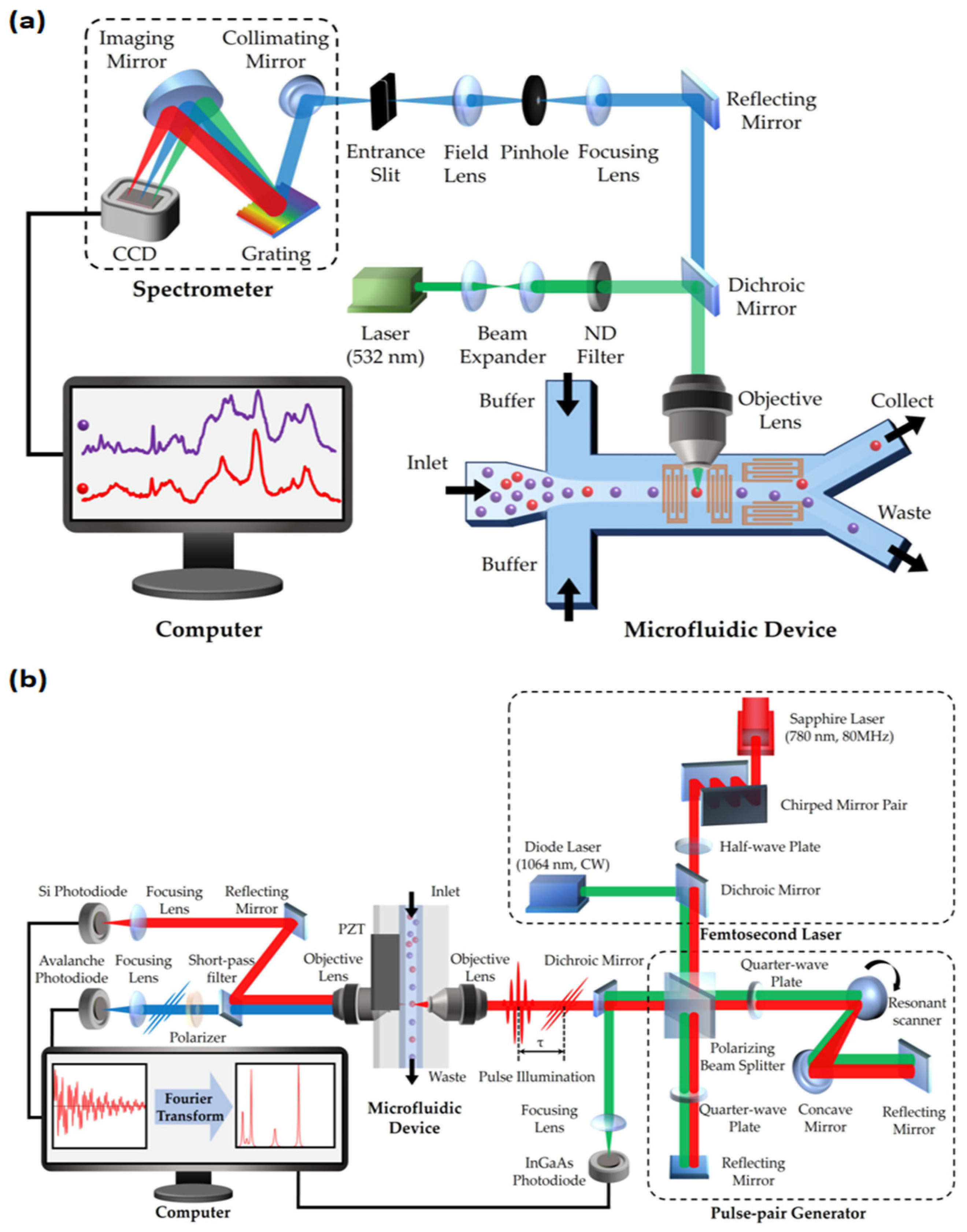 Biosensors 14 00171 g002
