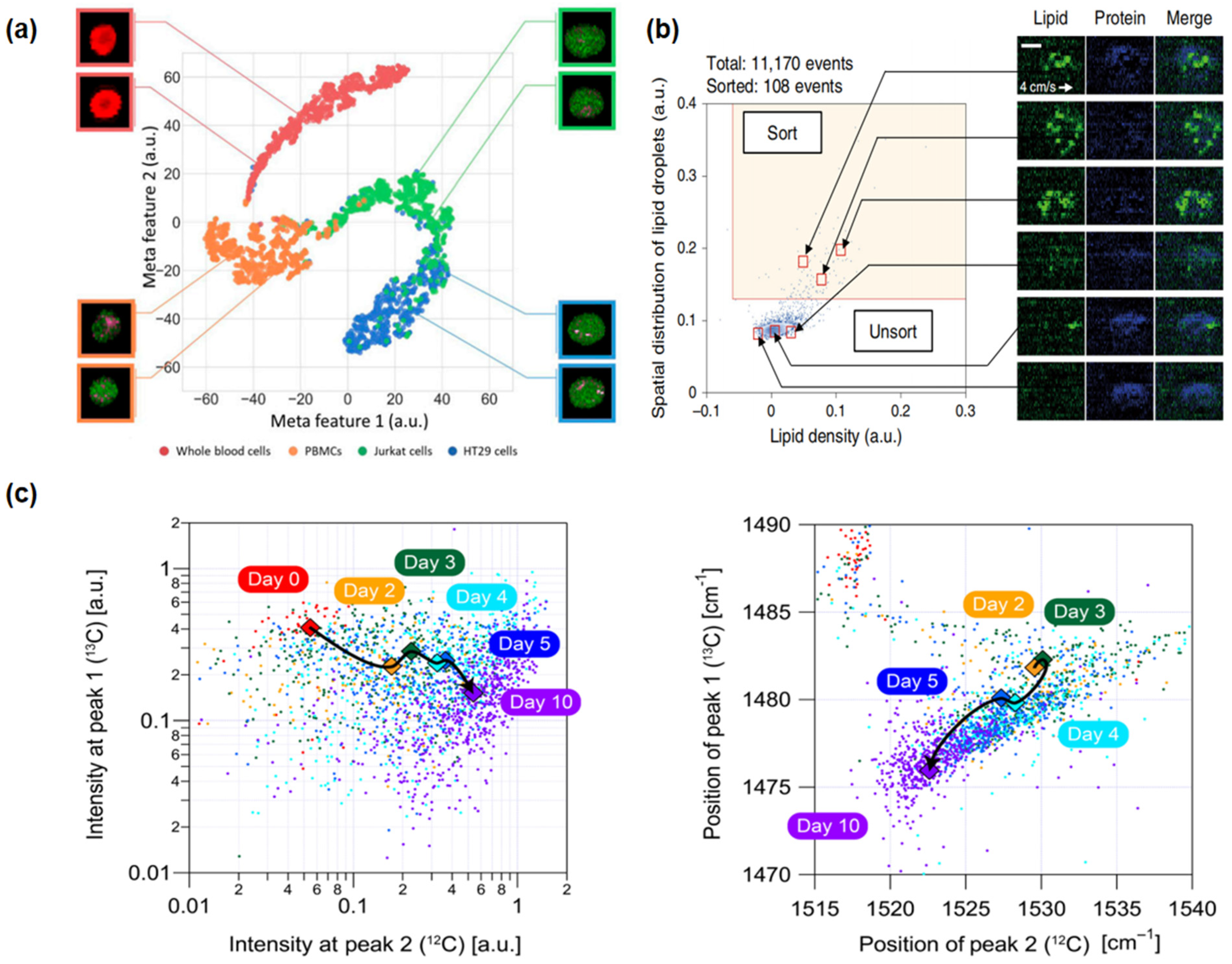 Biosensors 14 00171 g003