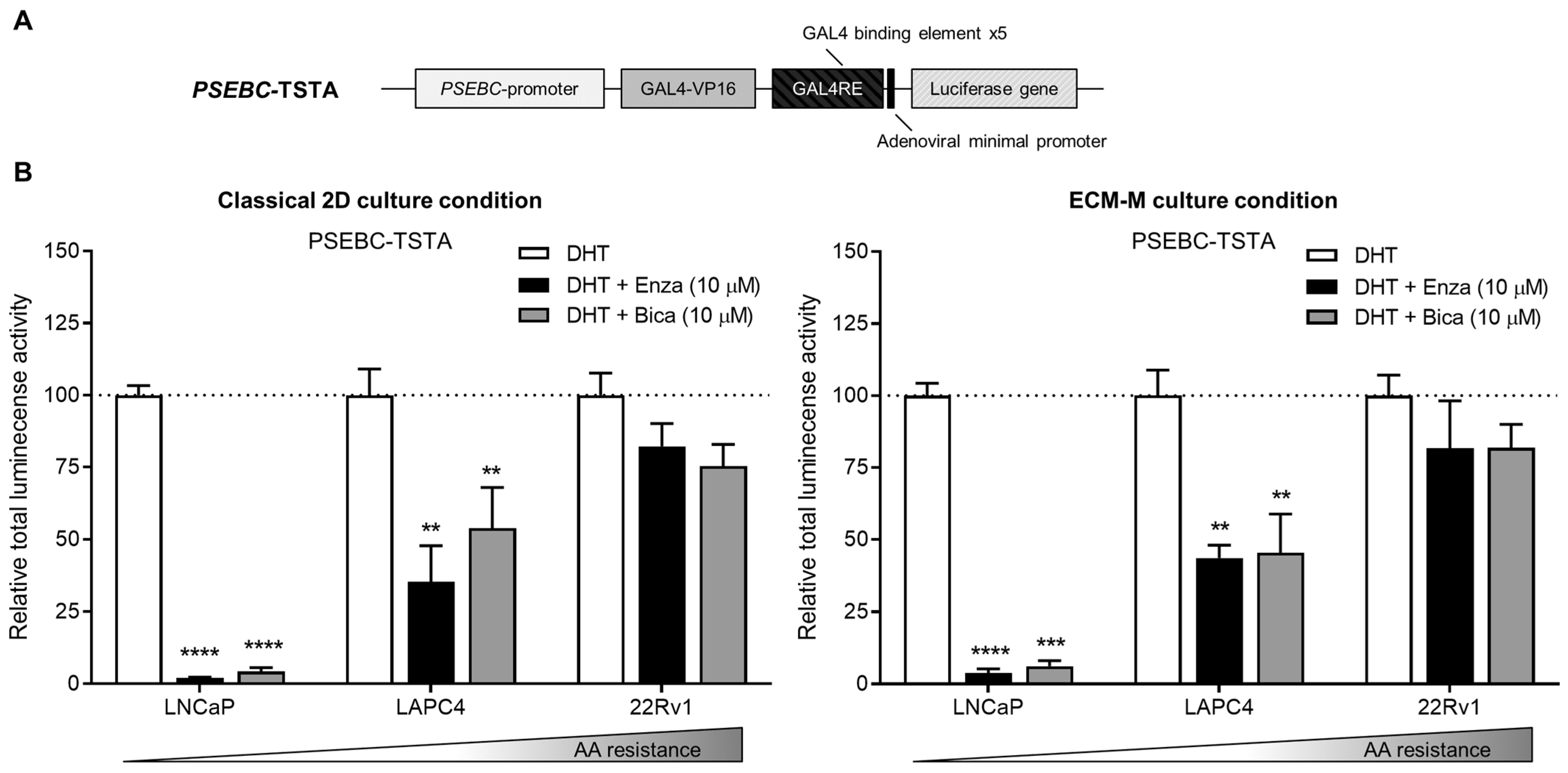 Biosensors 14 00175 g003