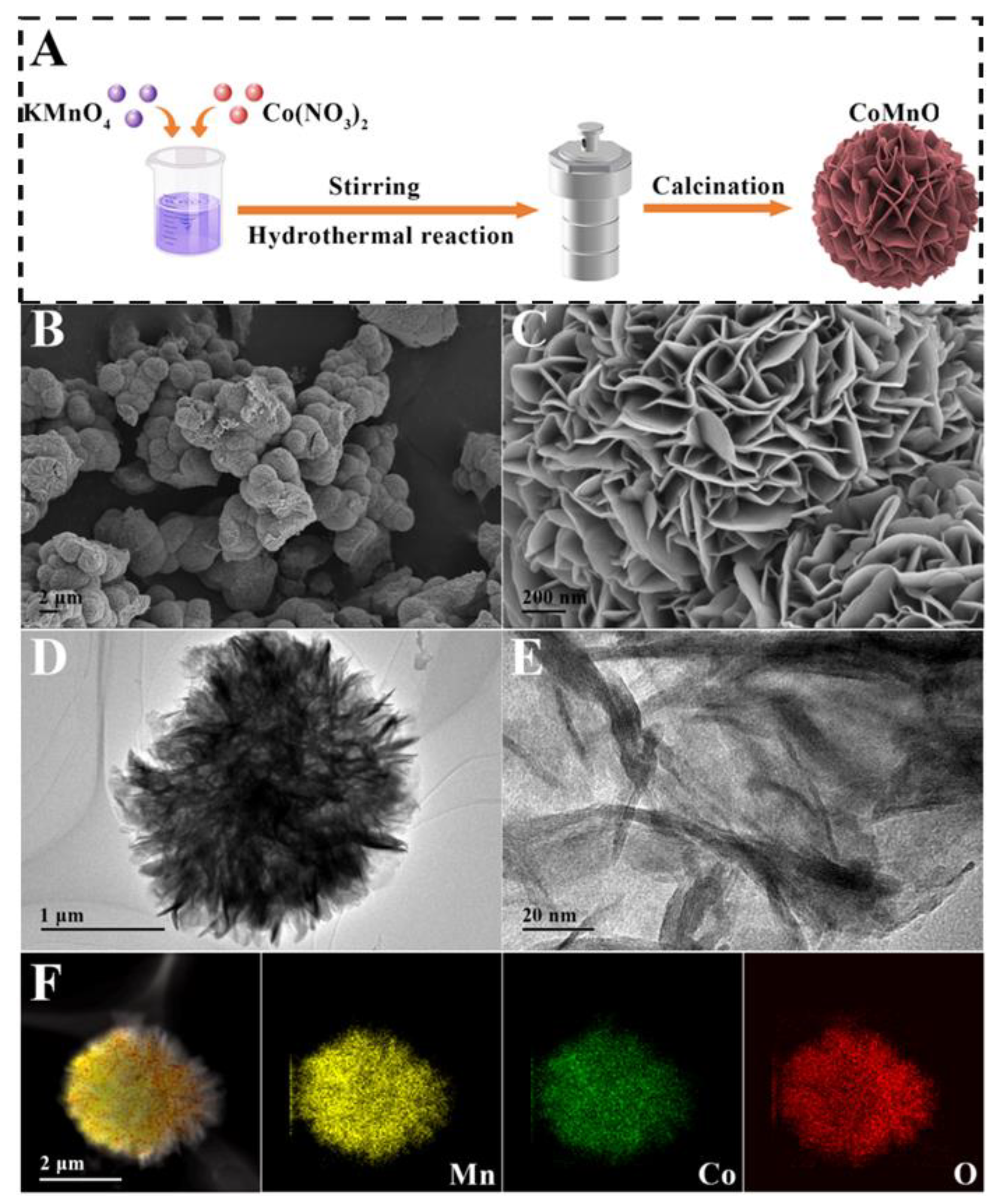 Biosensors 14 00178 g001