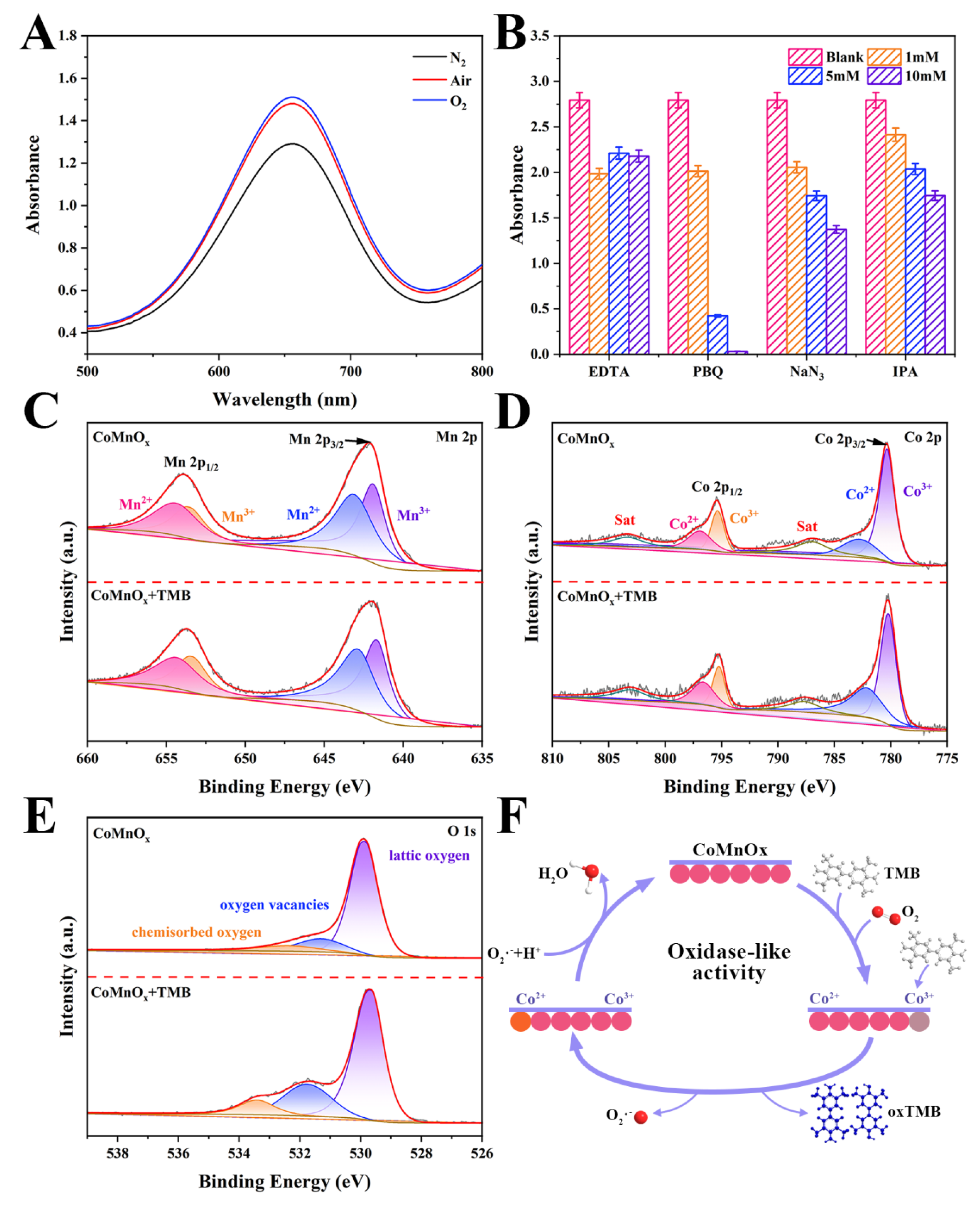 Biosensors 14 00178 g003