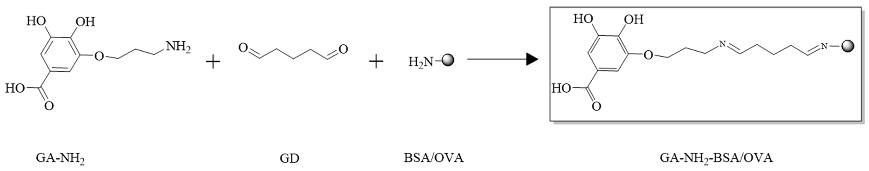 Biosensors 14 00182 g002