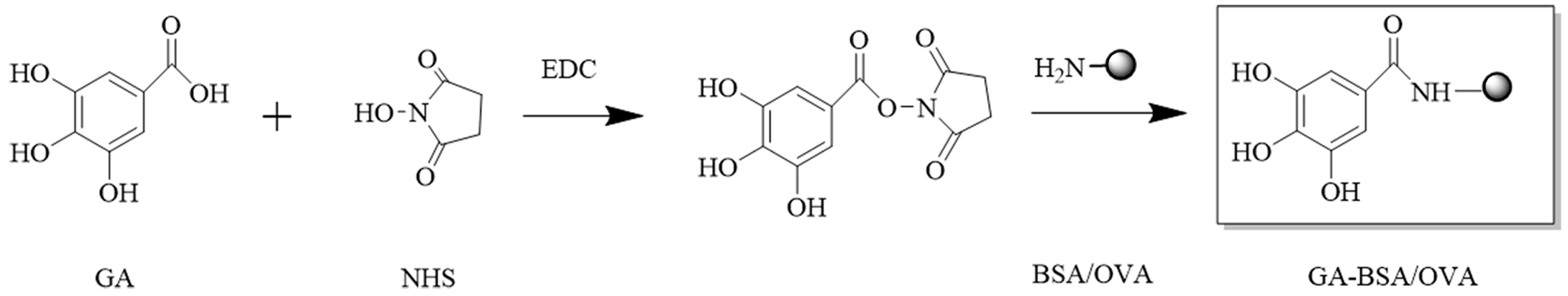 Biosensors 14 00182 g003