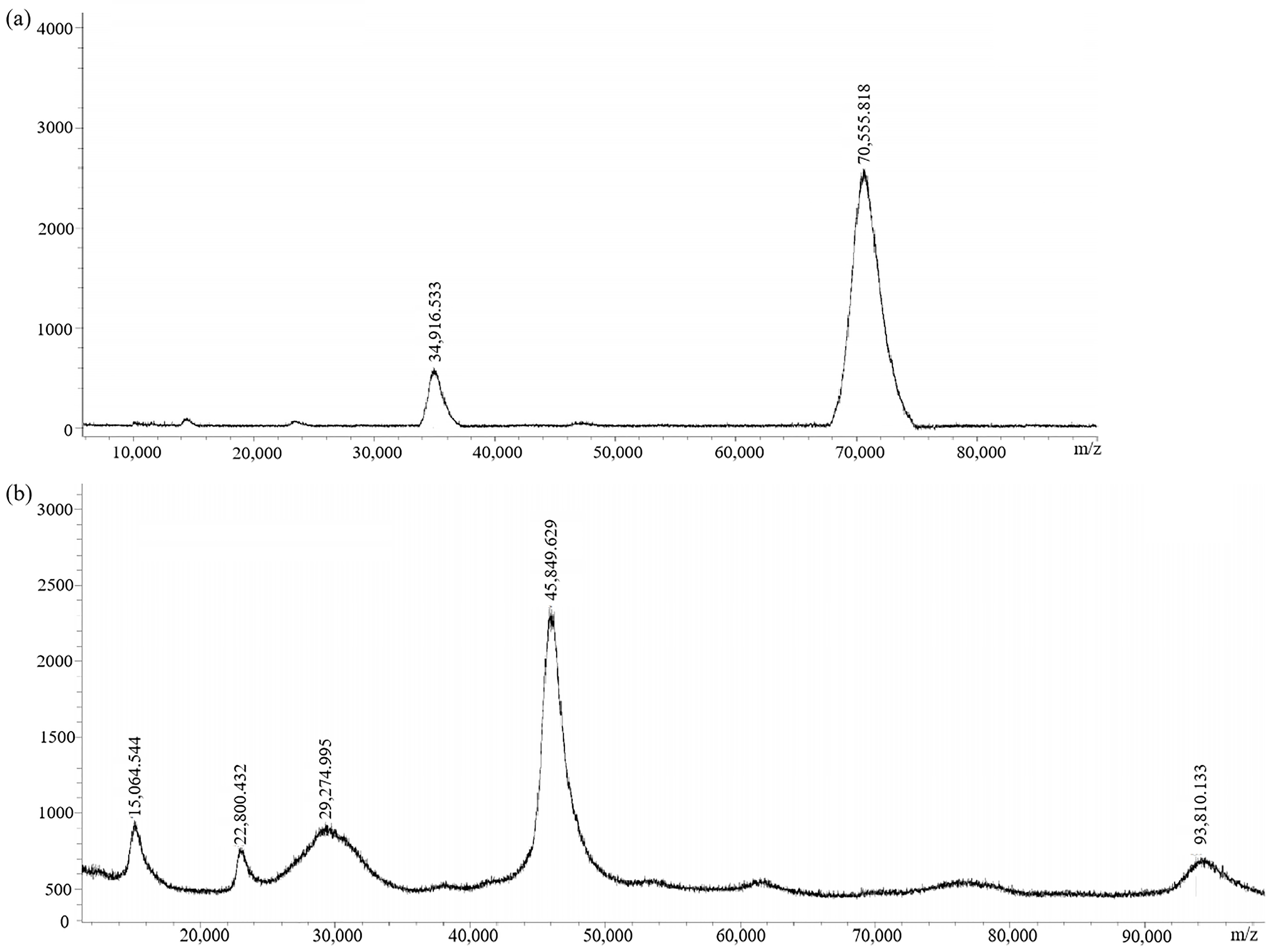 Biosensors 14 00182 g005