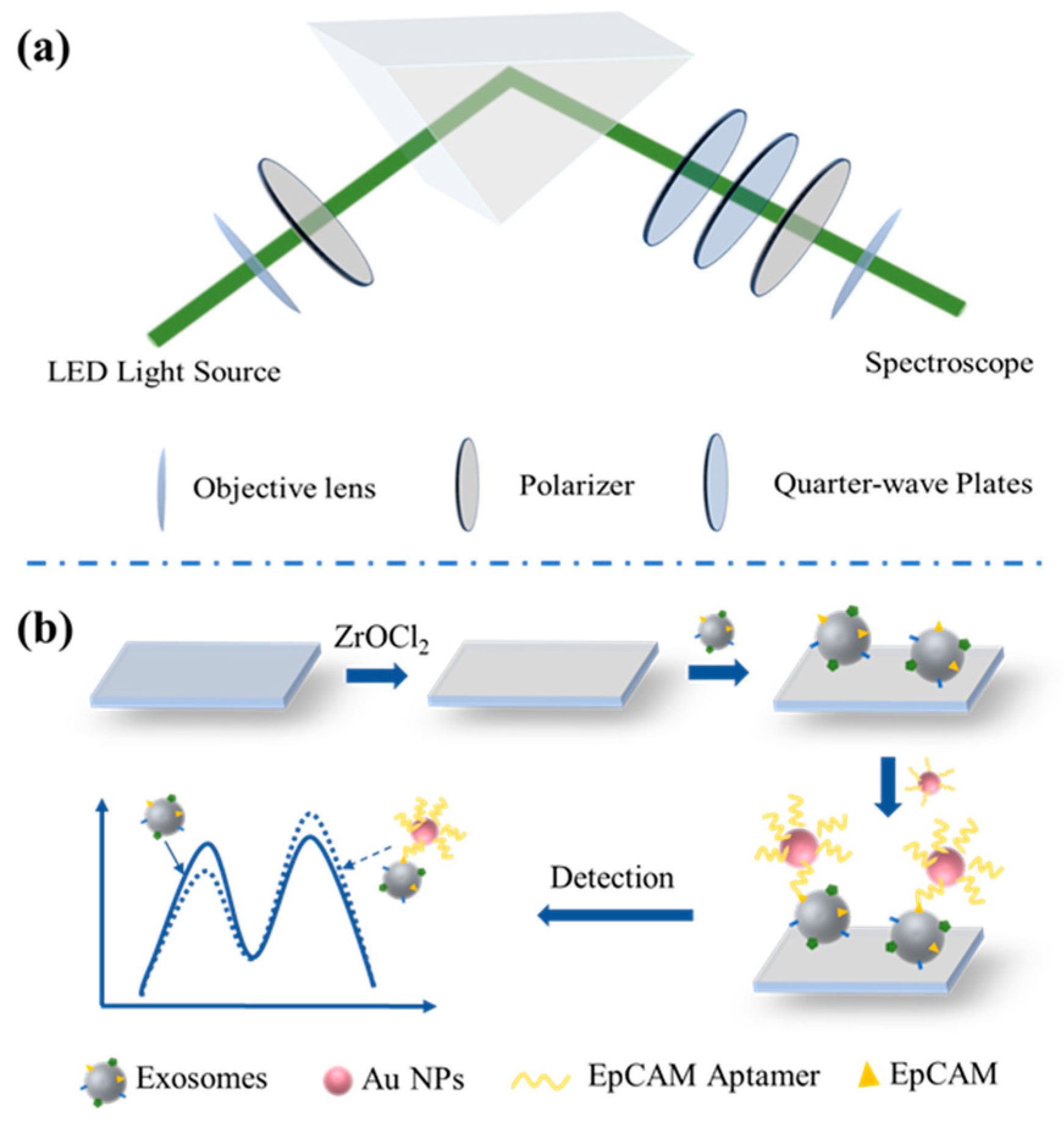 Biosensors 14 00198 g001