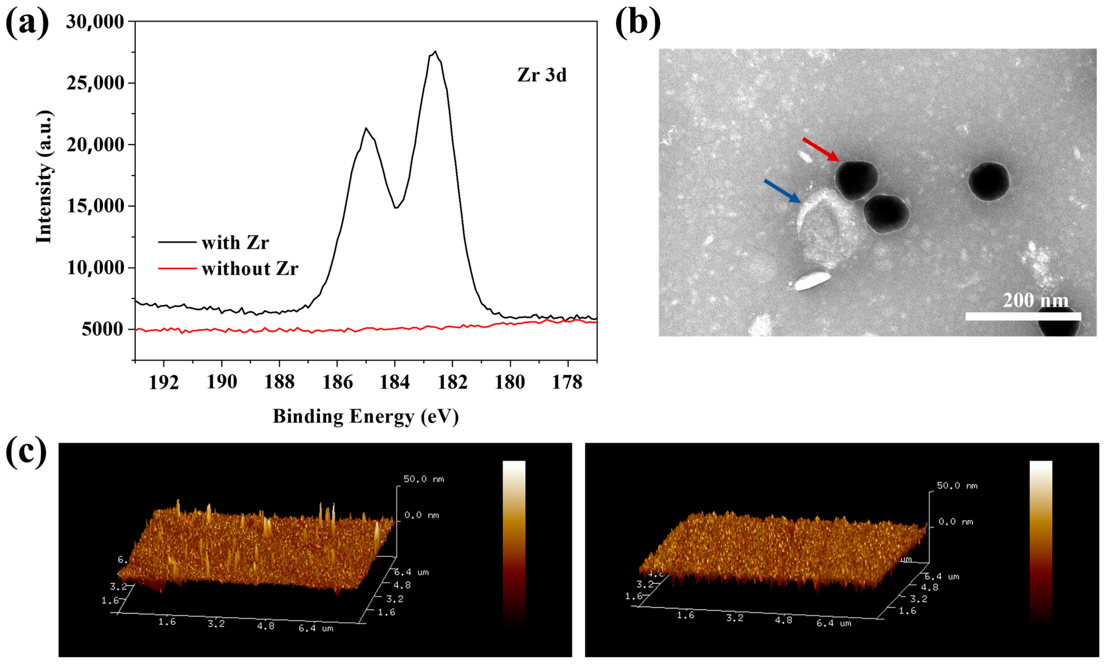 Biosensors 14 00198 g004
