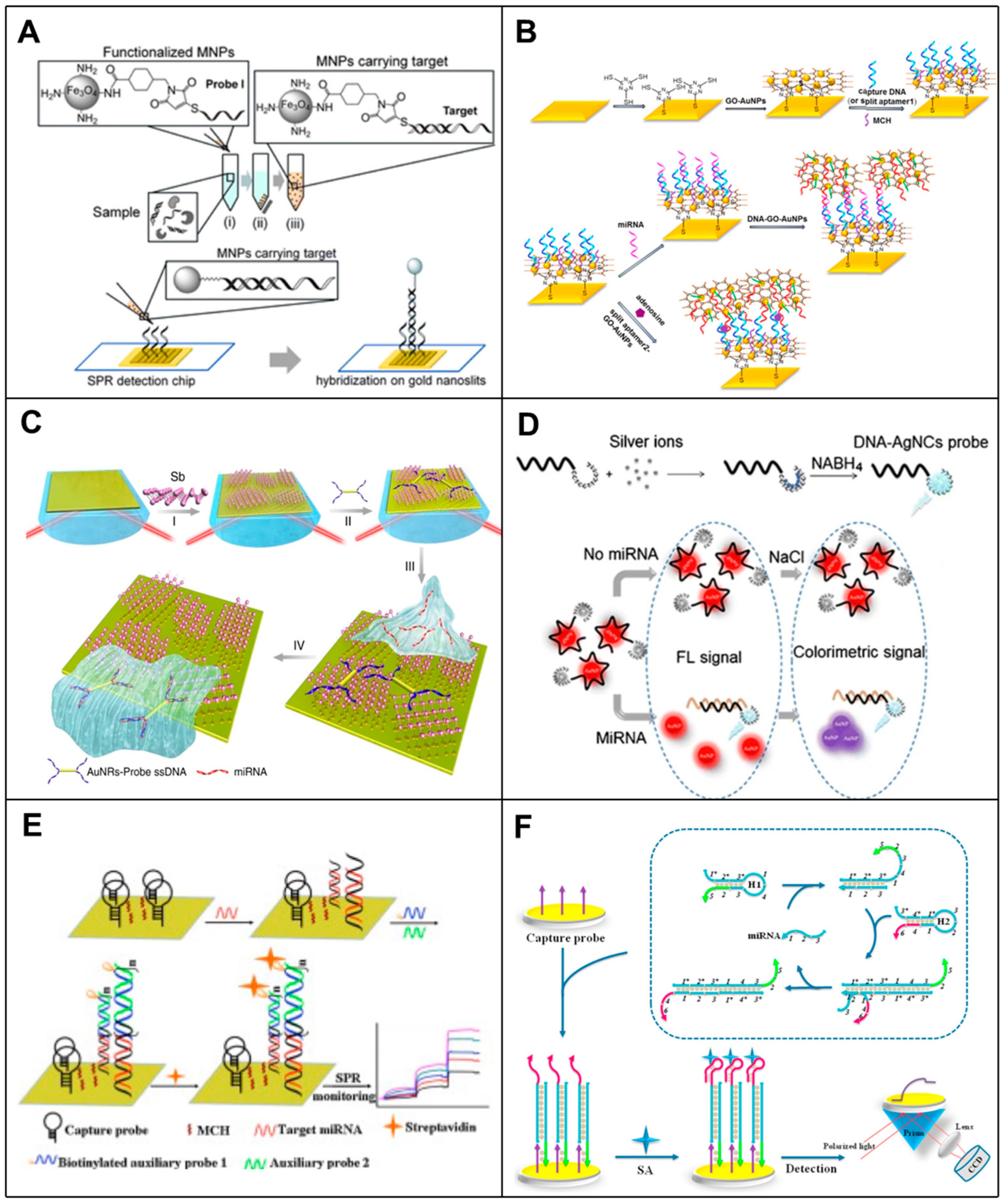Spe Biosensor PCR Independent Strategy-Based Biosensors for RNA Detection | MDPI