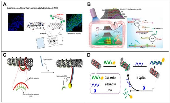 Biosensors 14 00200 g005