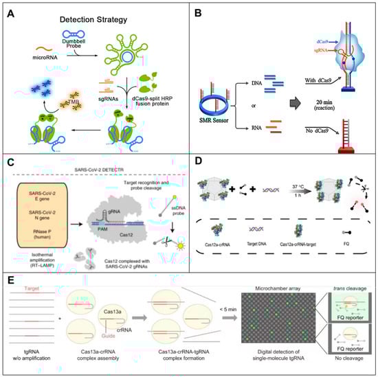 Biosensors 14 00200 g006
