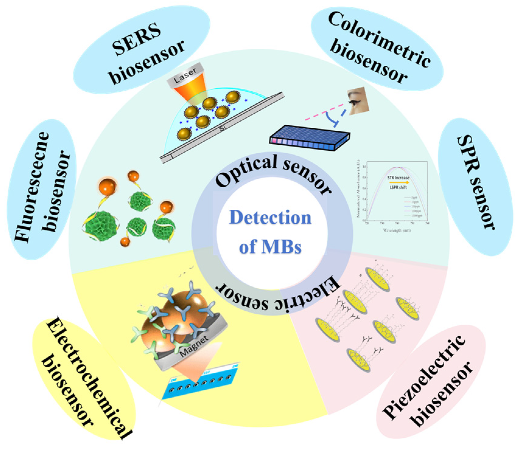 Biosensors 14 00203 g001