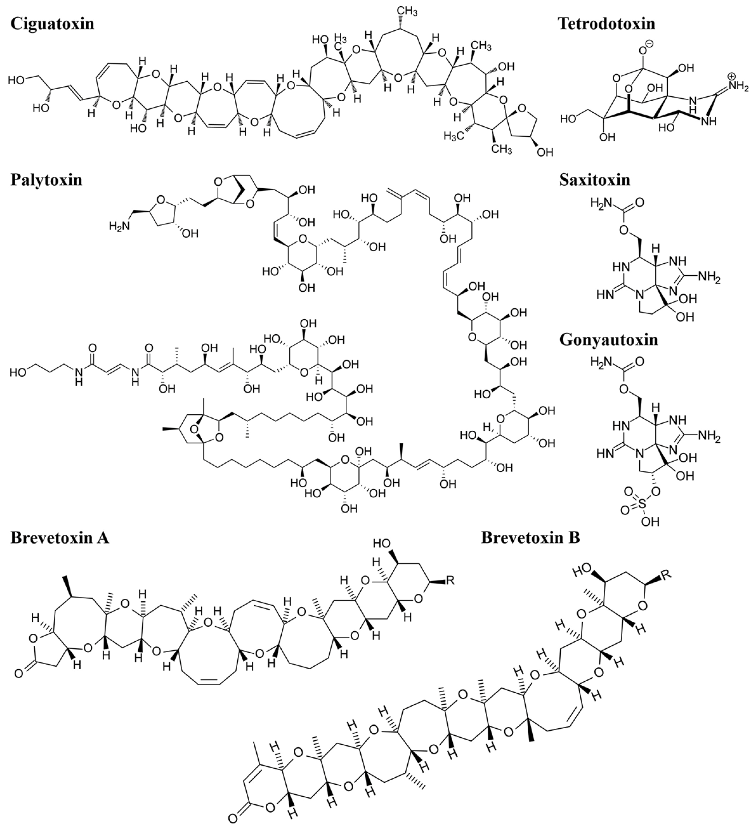 Biosensors 14 00203 g002