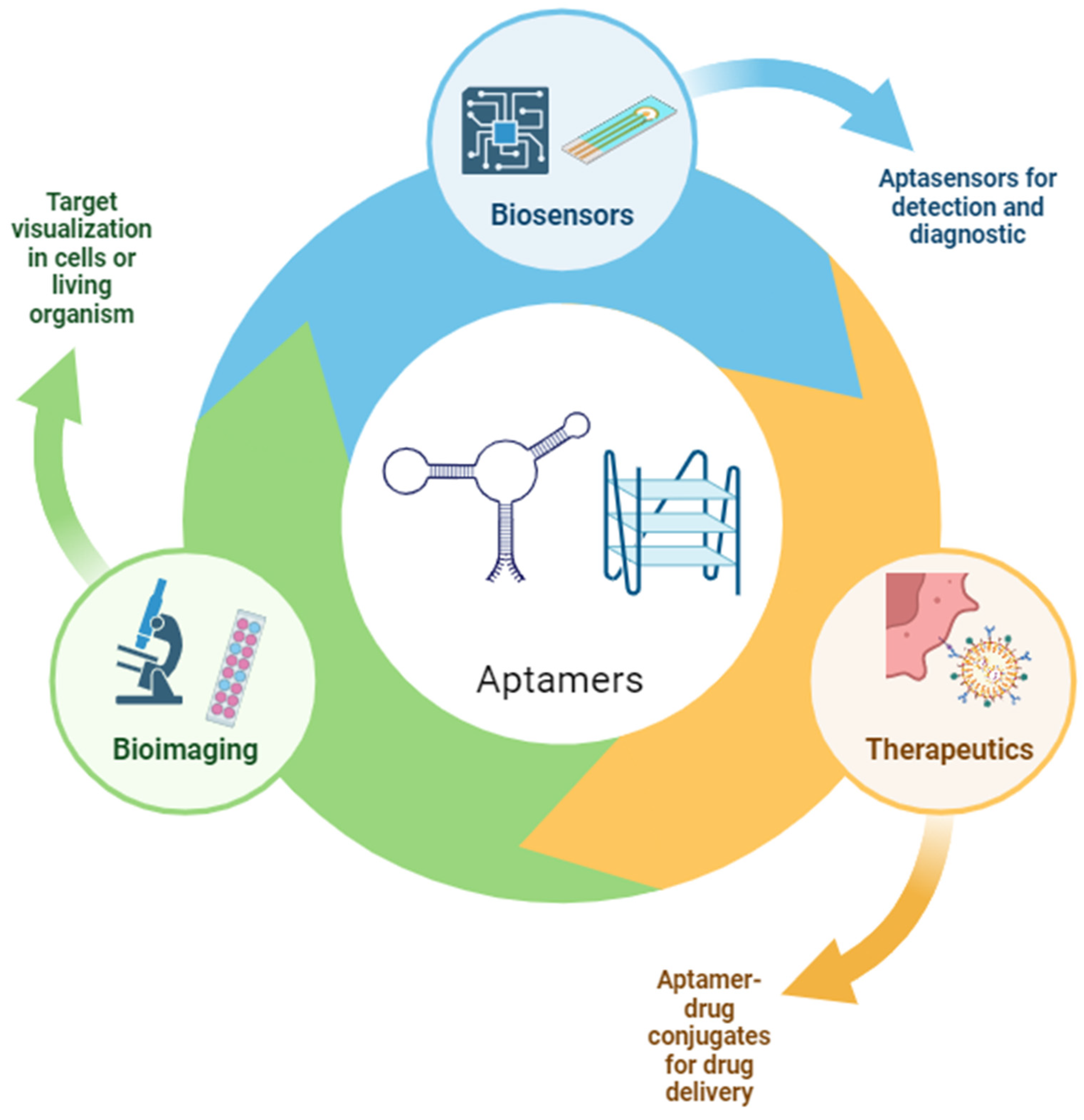 Biosensors 14 00210 g001