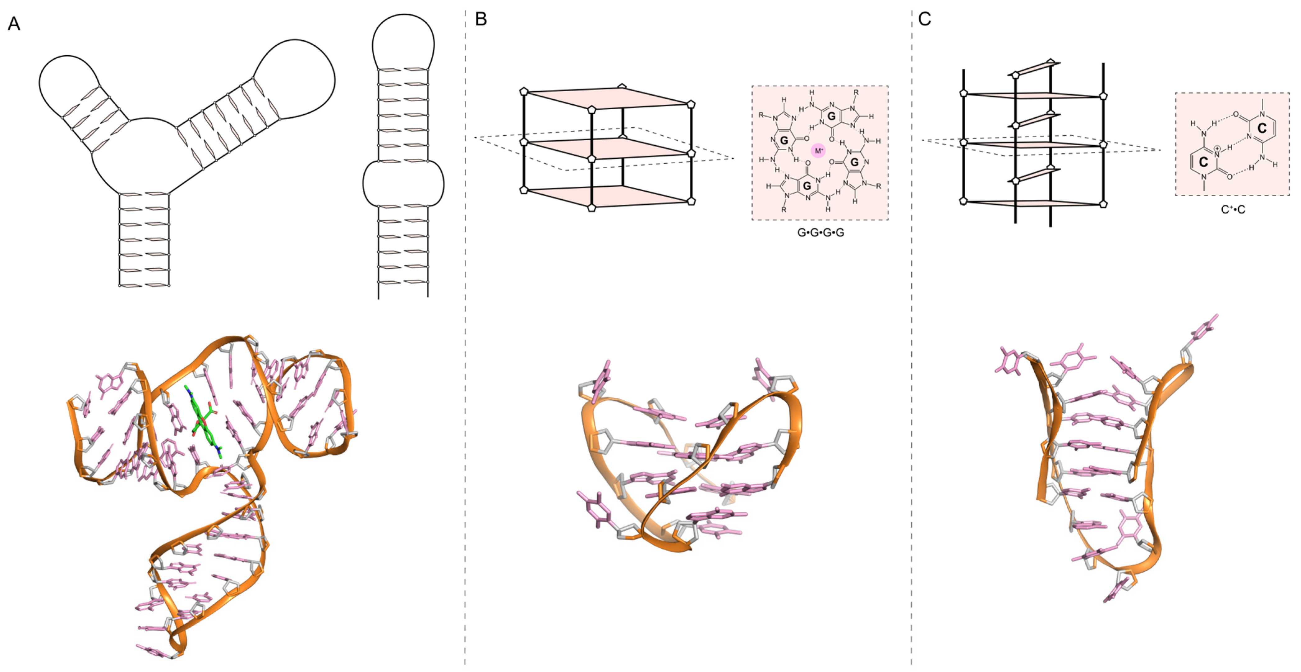 Biosensors 14 00210 g002