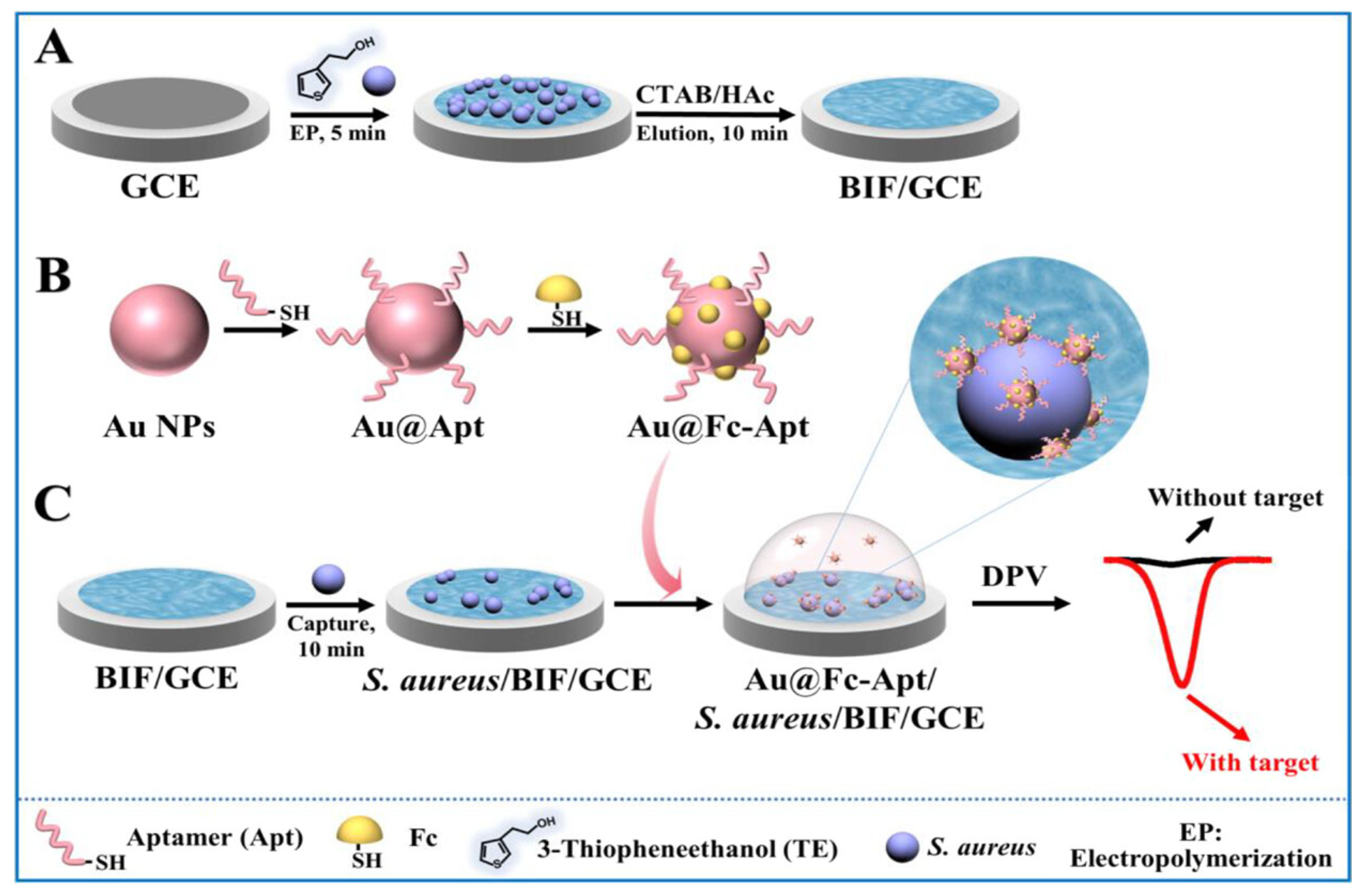 Biosensors 14 00210 g004