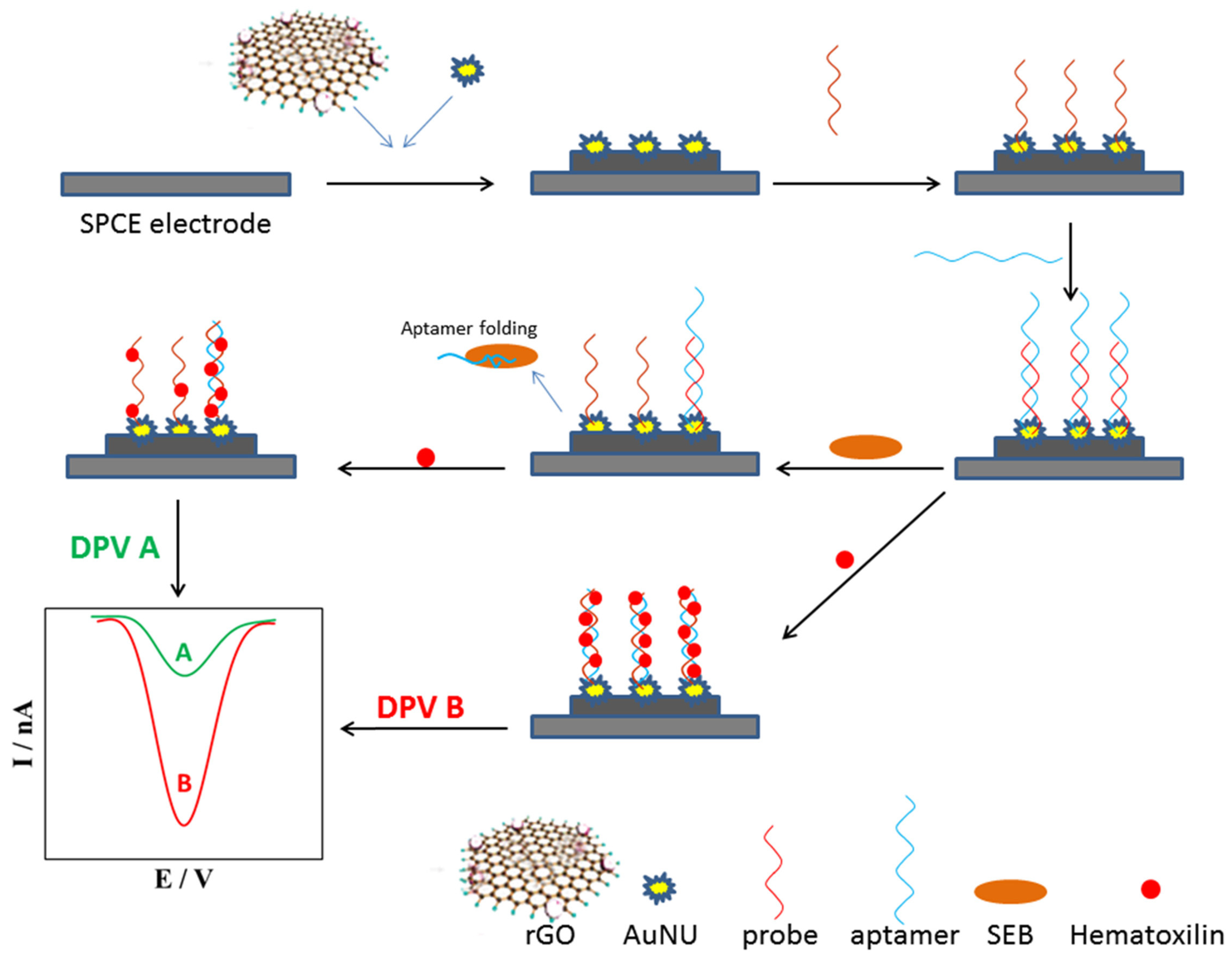 Biosensors 14 00210 g006