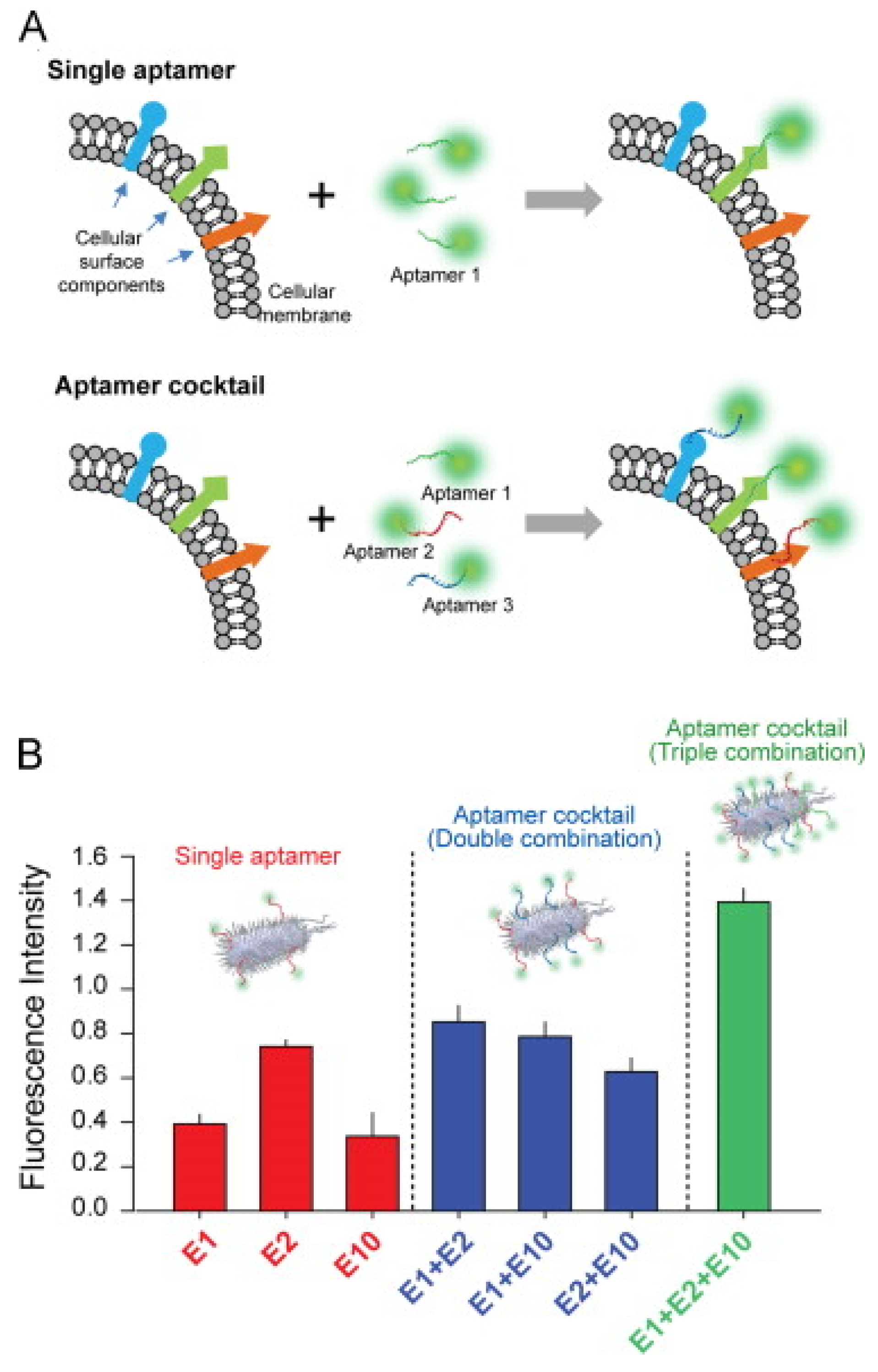 Biosensors 14 00210 g008