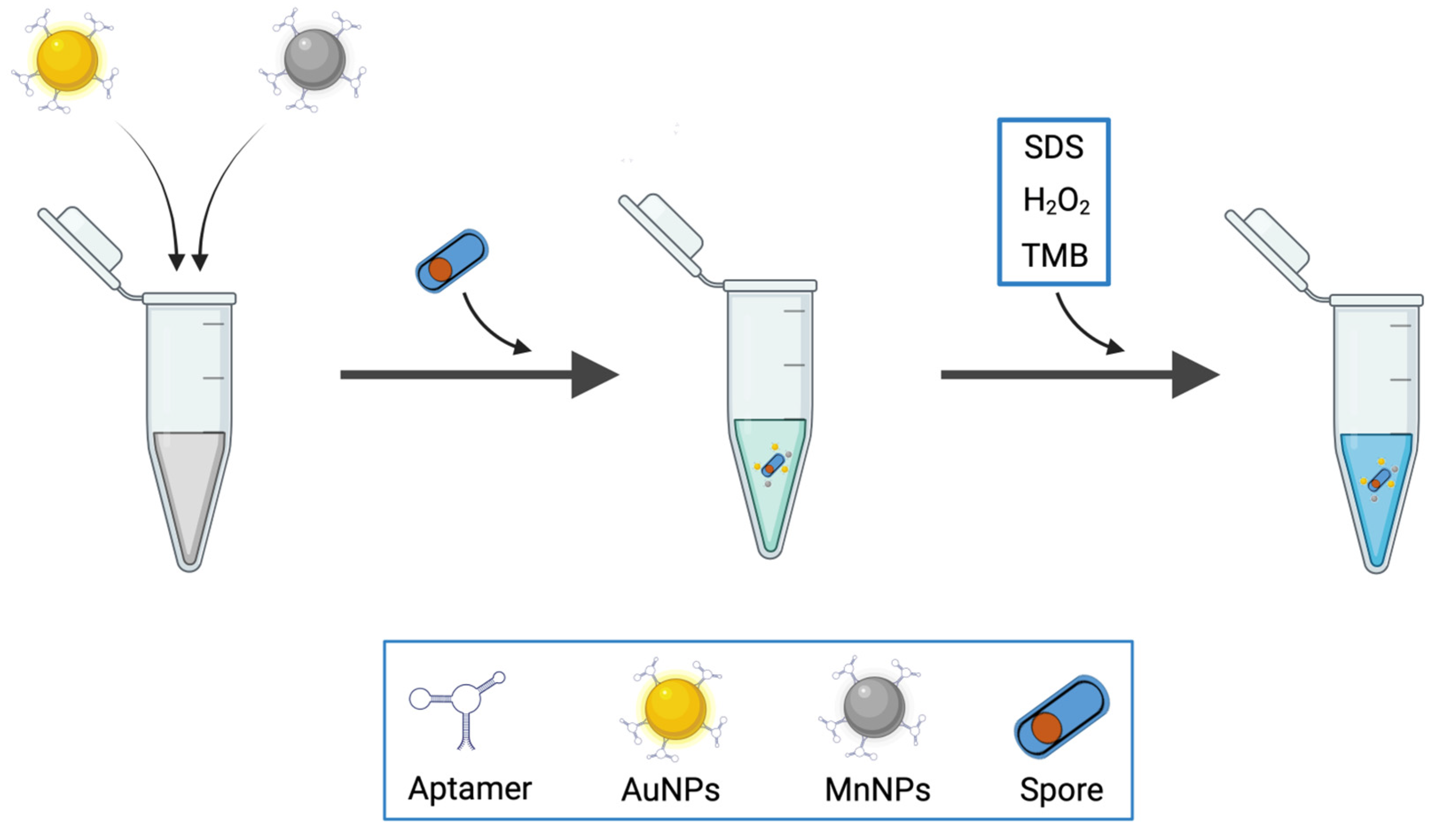 Biosensors 14 00210 g009
