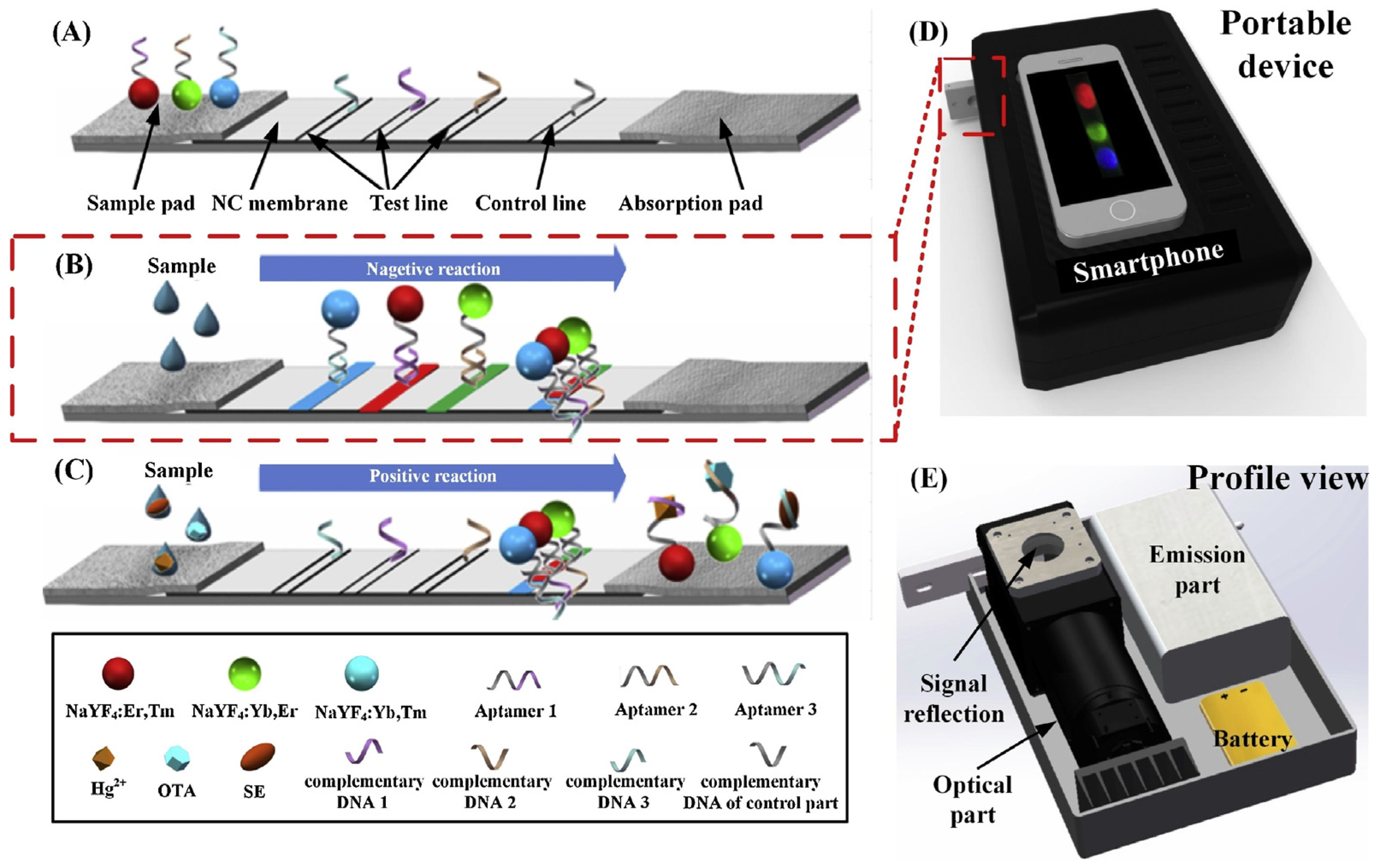 Biosensors 14 00210 g010
