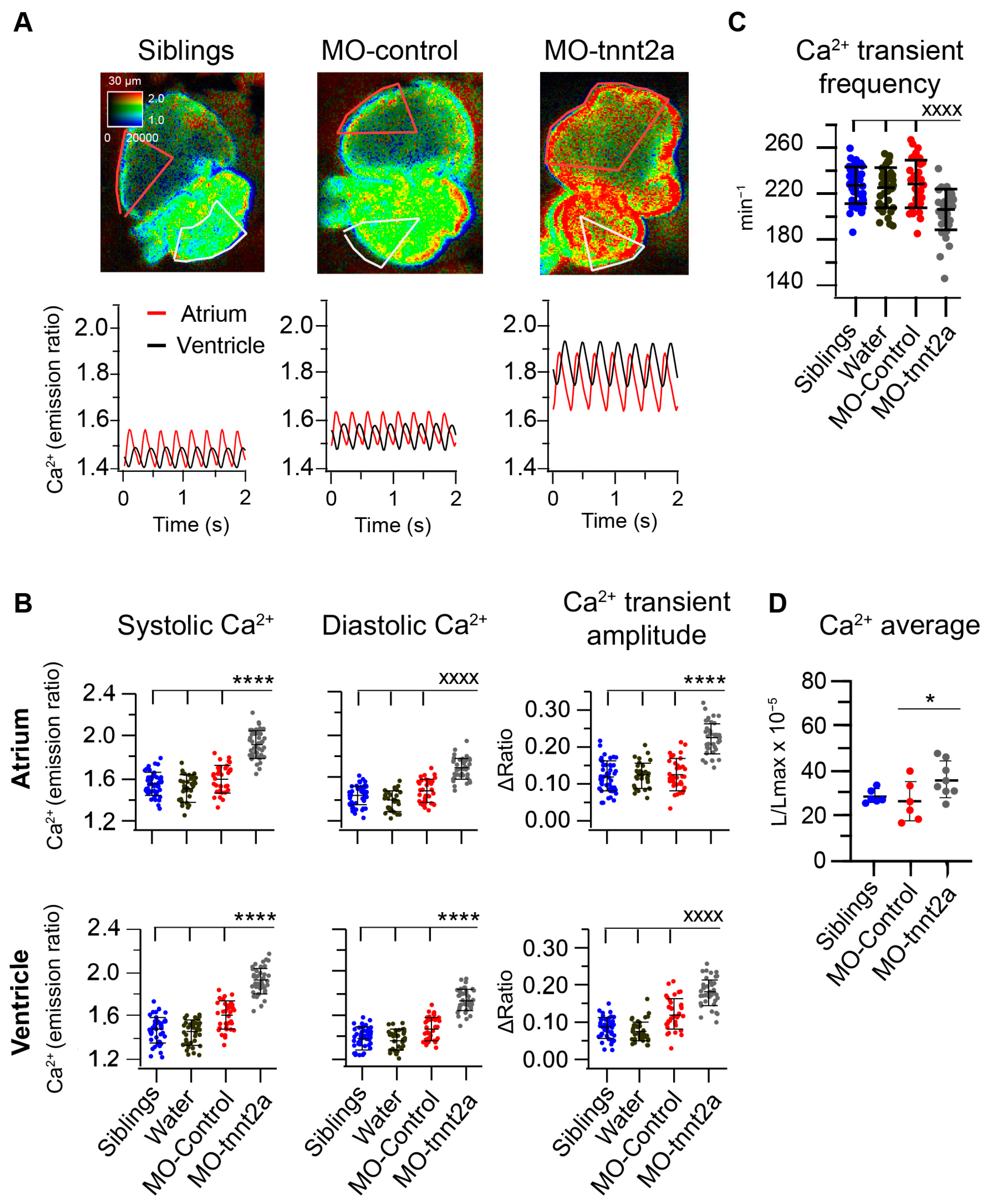 Biosensors 14 00219 g002