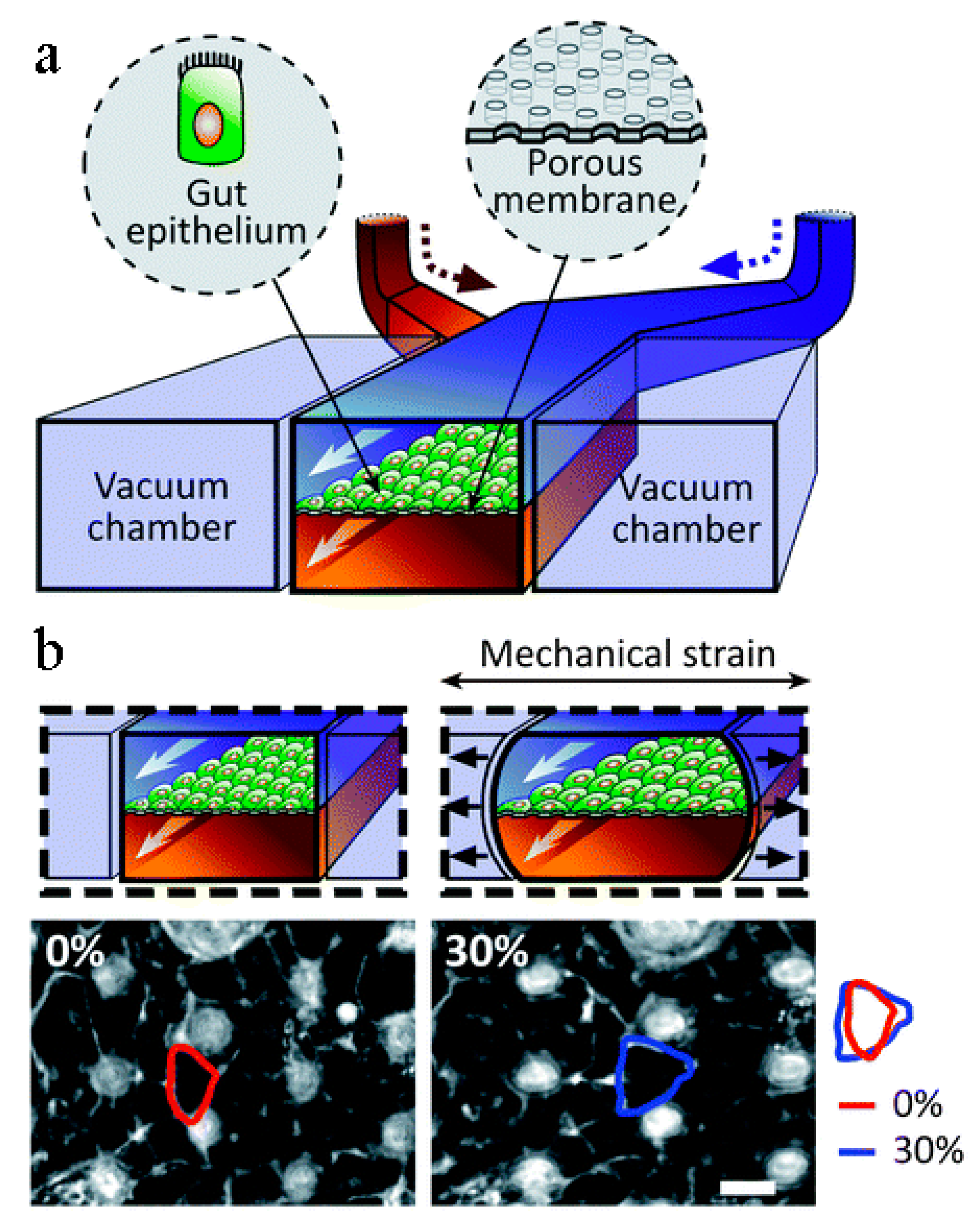 Biosensors 14 00225 g005