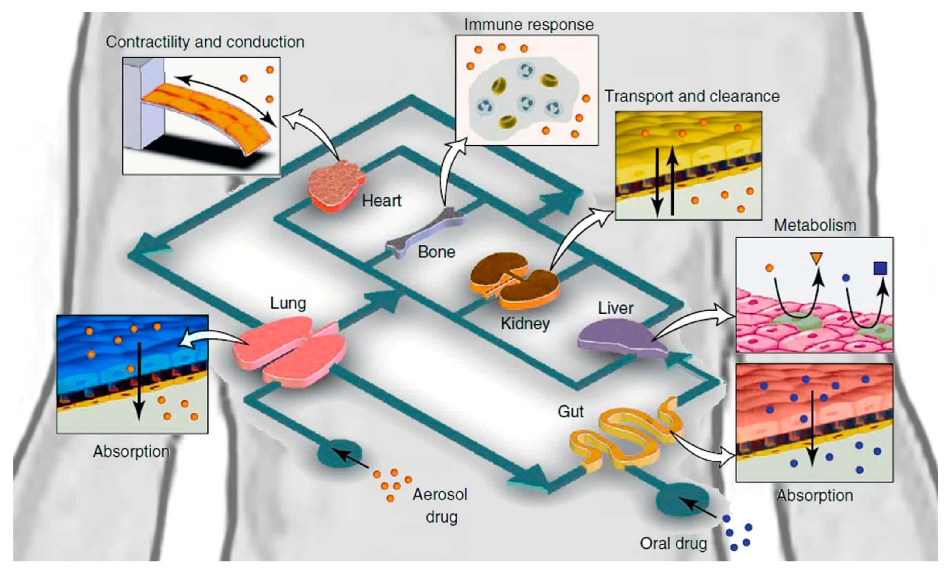 Biosensors 14 00225 g008