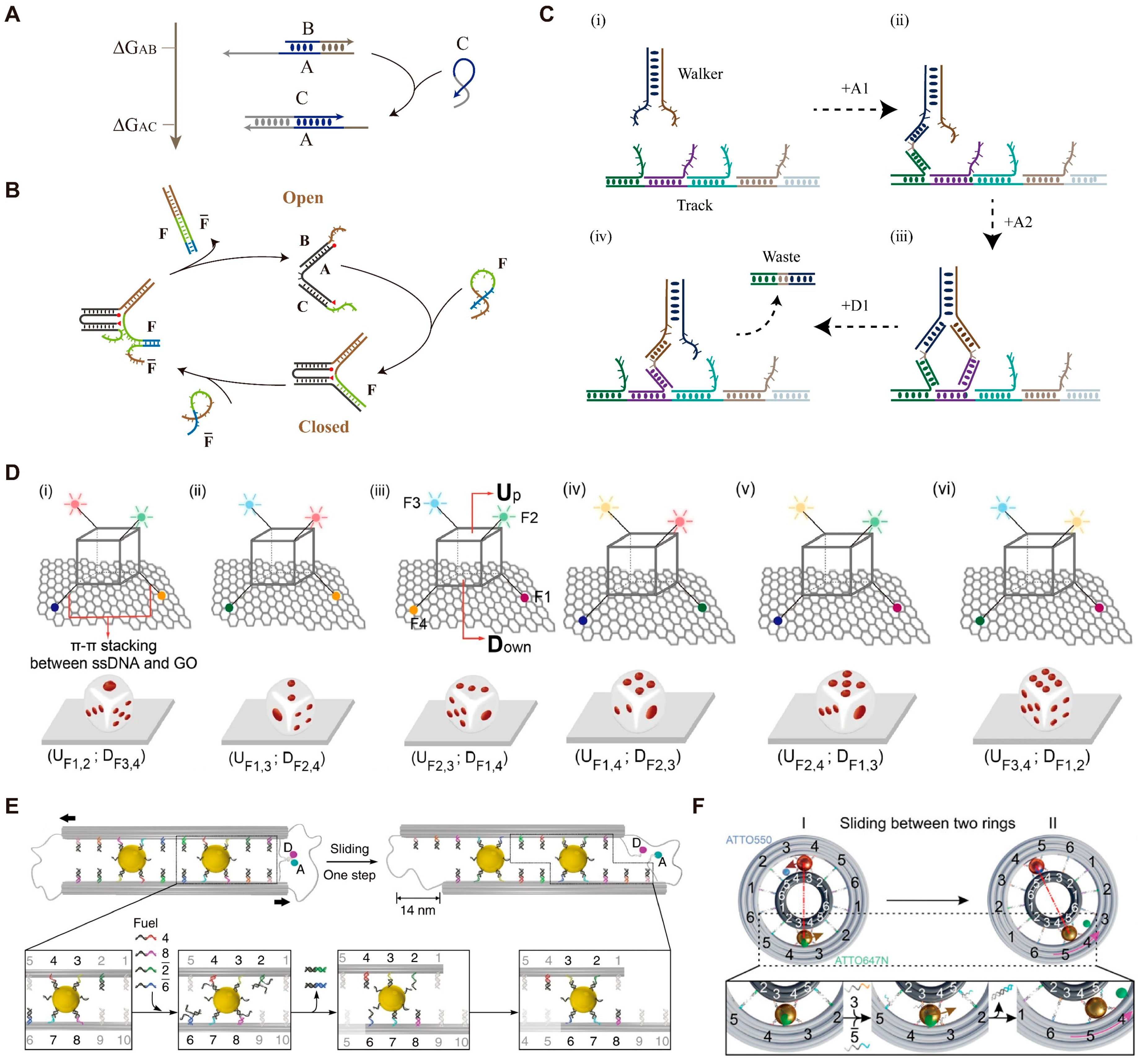 Biosensors 14 00236 g001