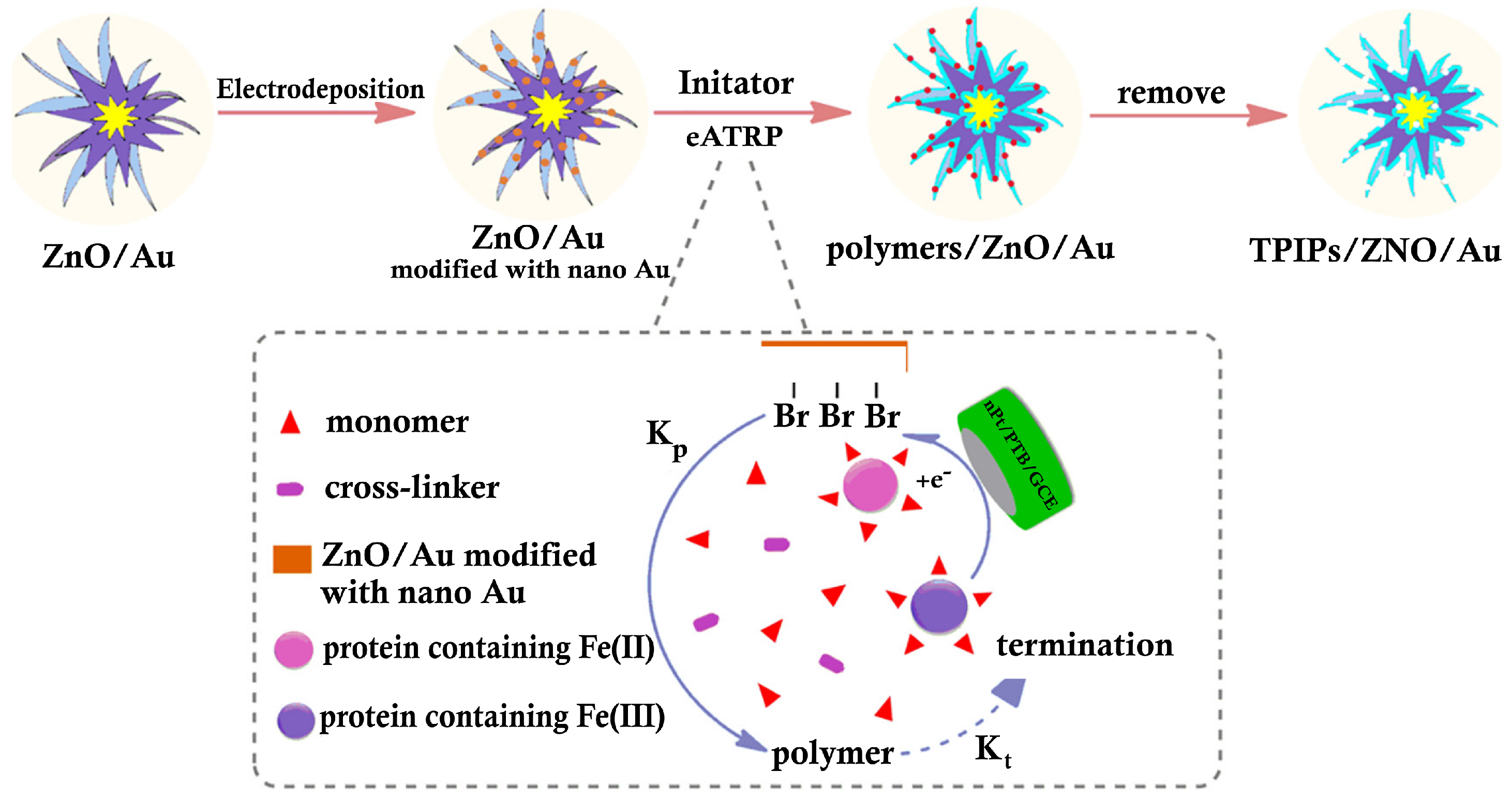 Biosensors 14 00238 g003