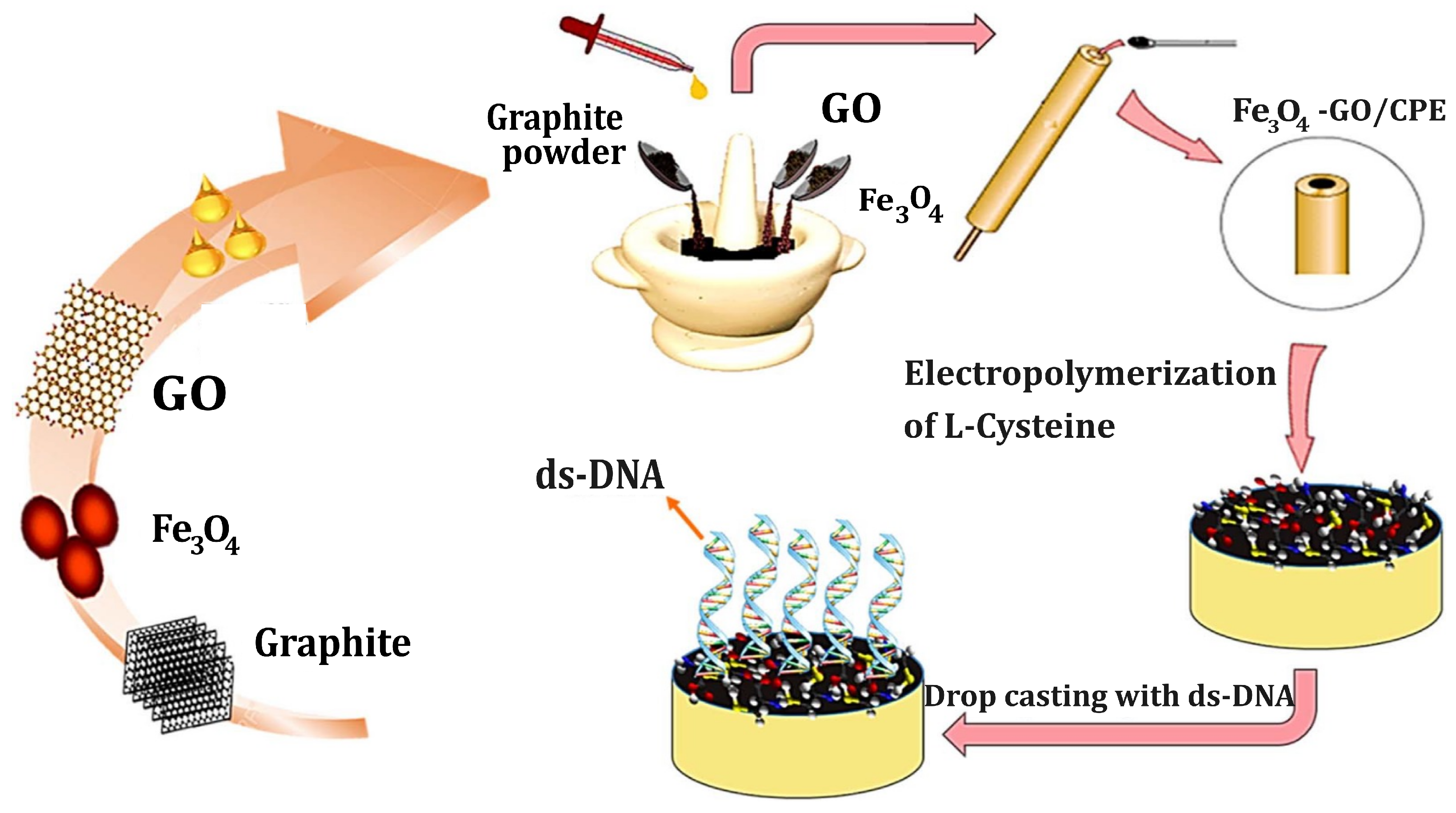 Biosensors 14 00238 g007