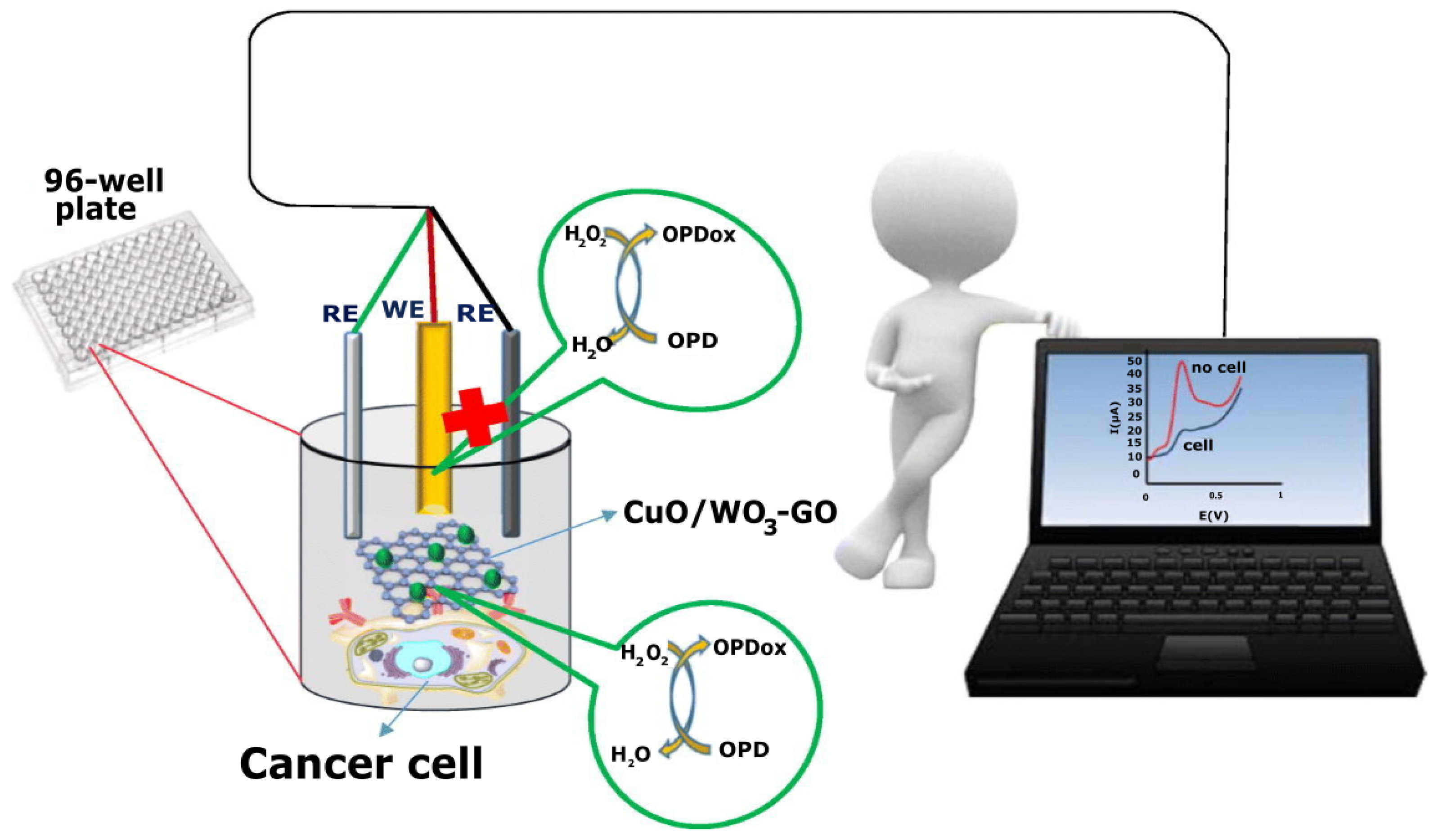 Biosensors 14 00238 g008