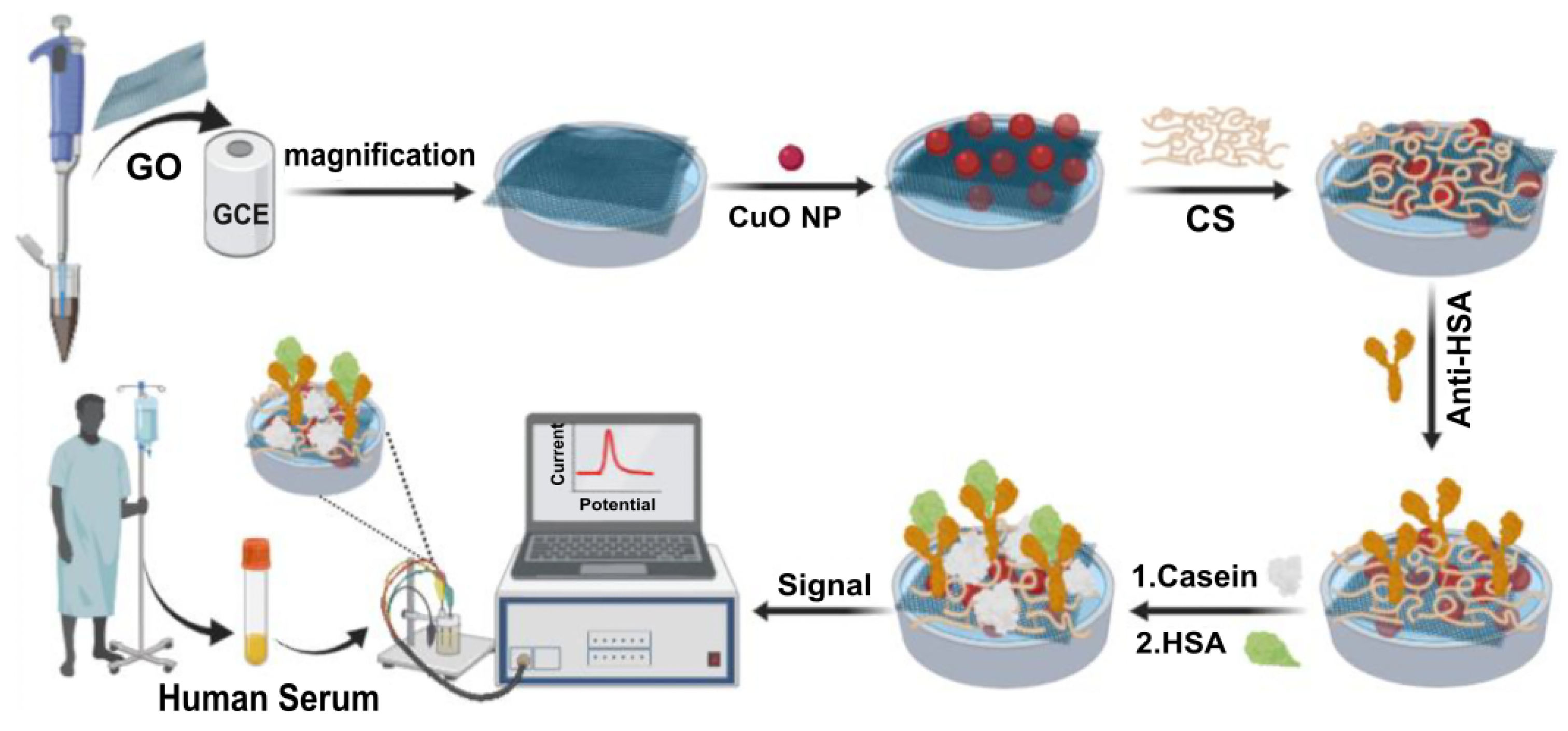 Biosensors 14 00238 g009