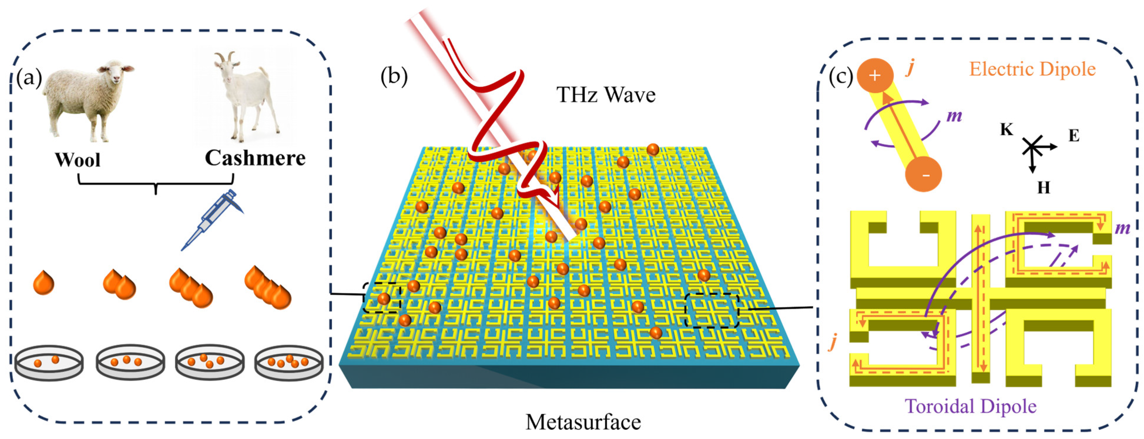 Biosensors 14 00240 g001