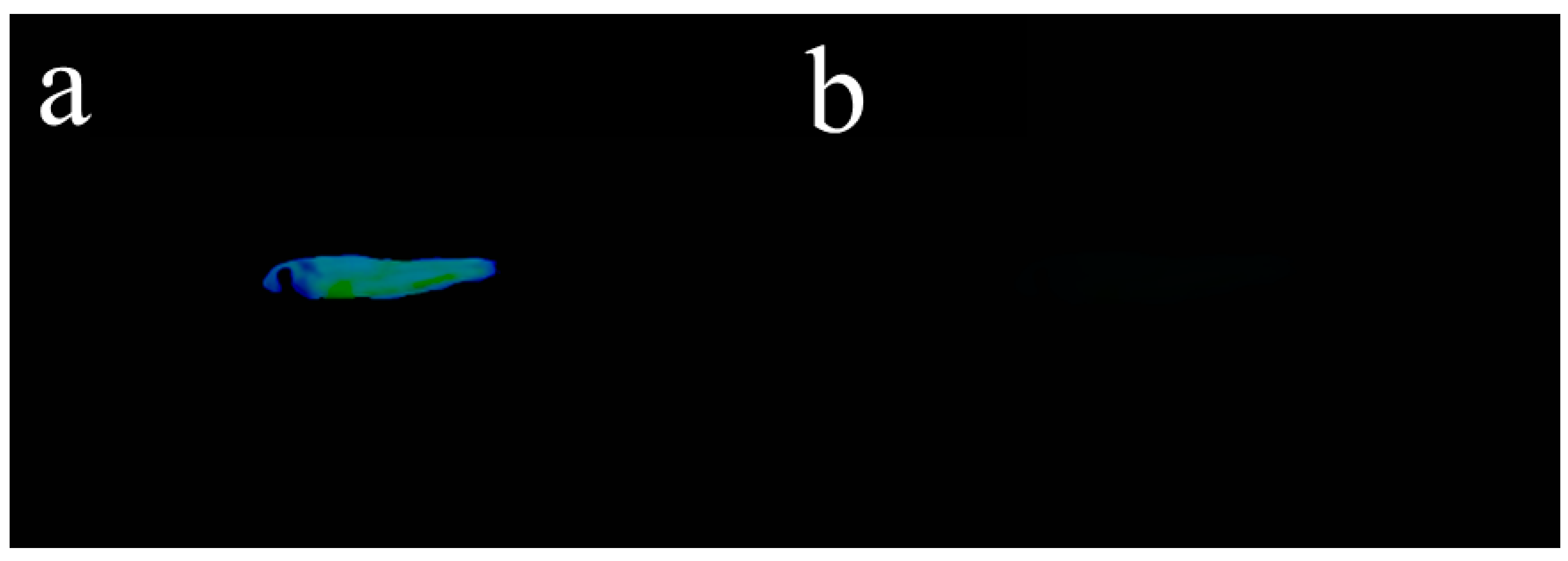Biosensors 14 00244 g010
