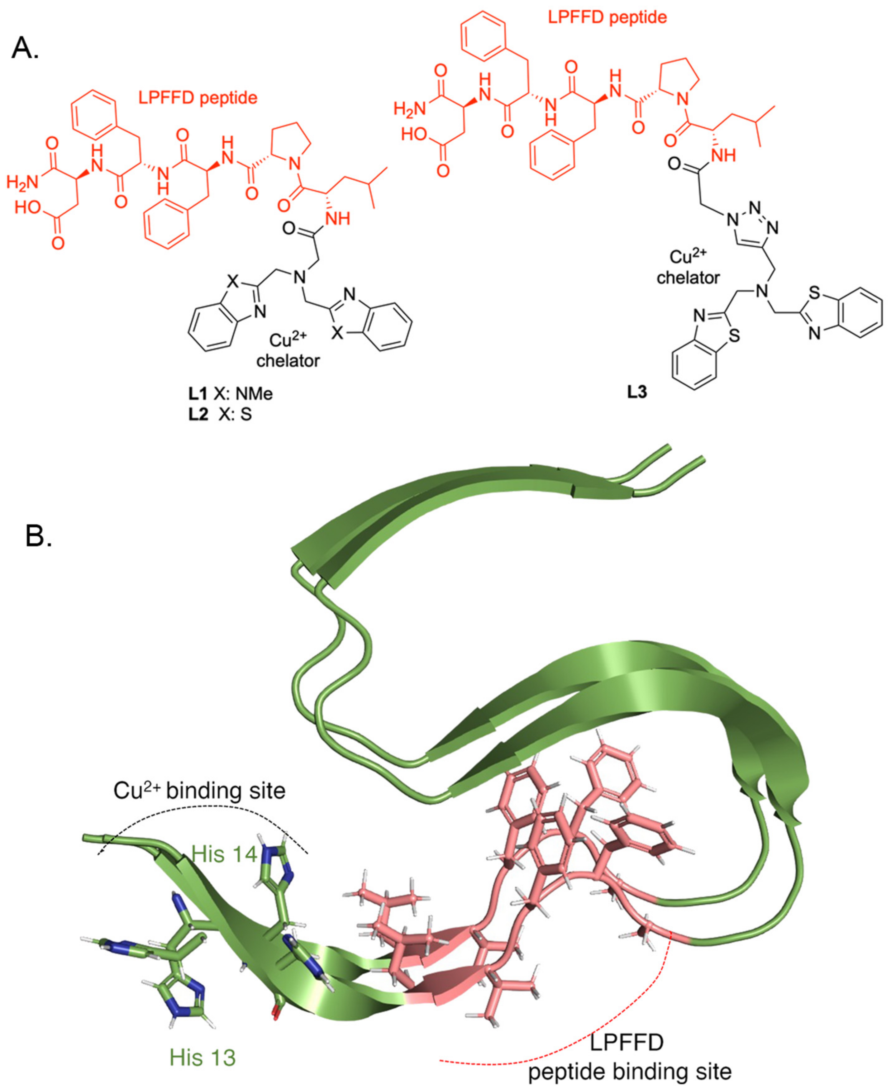Biosensors 14 00247 g002