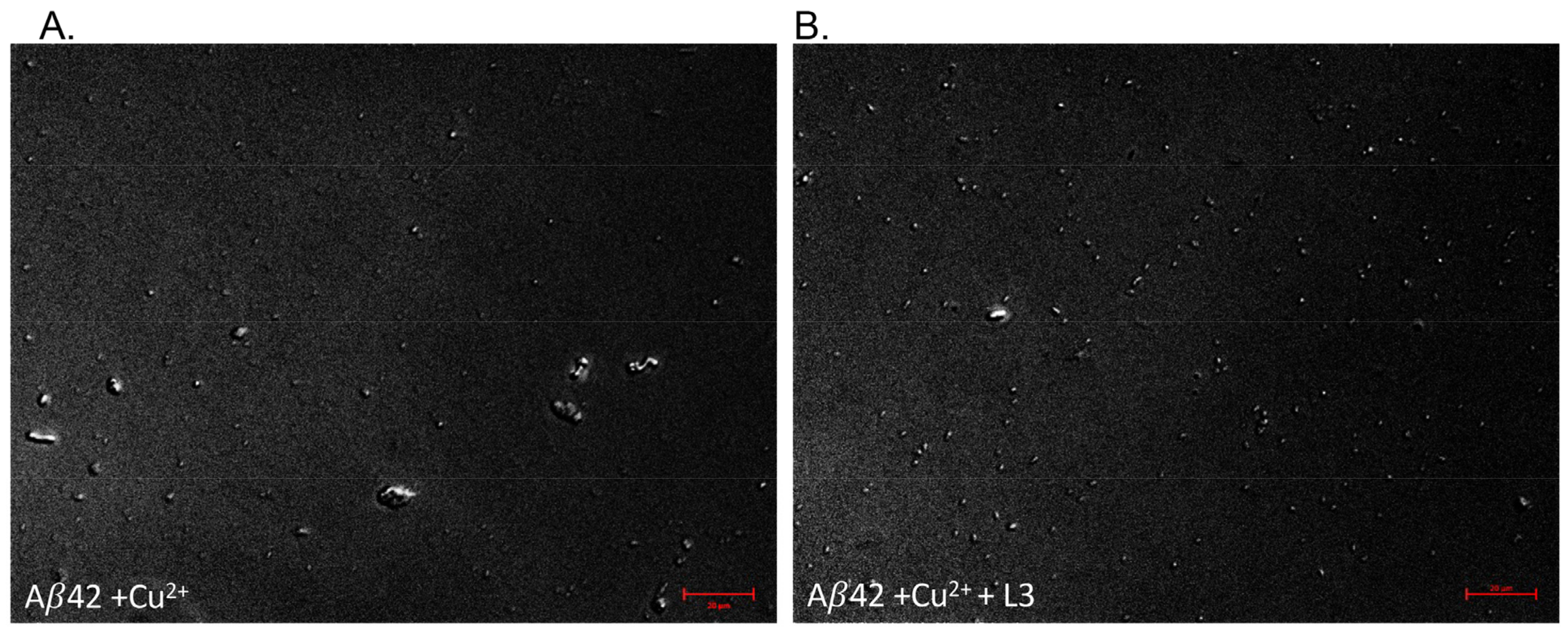 Biosensors 14 00247 g006