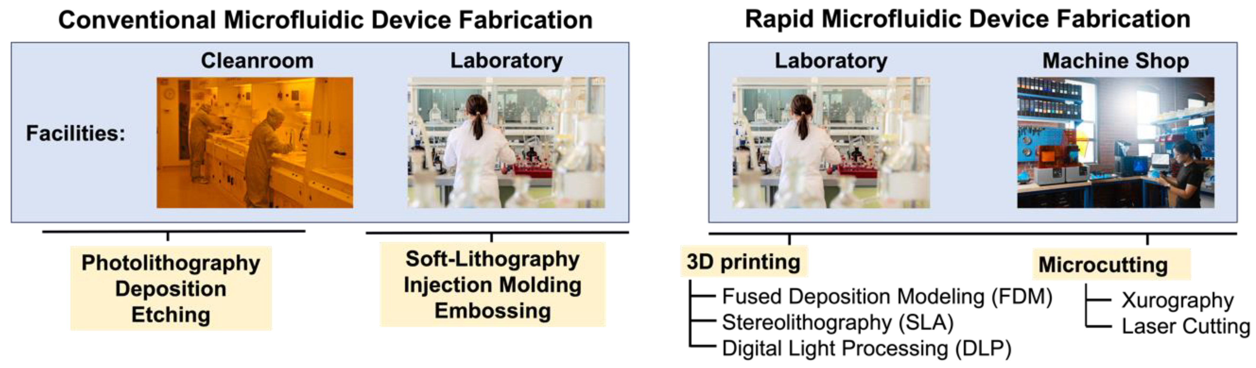 Biosensors 14 00249 g005