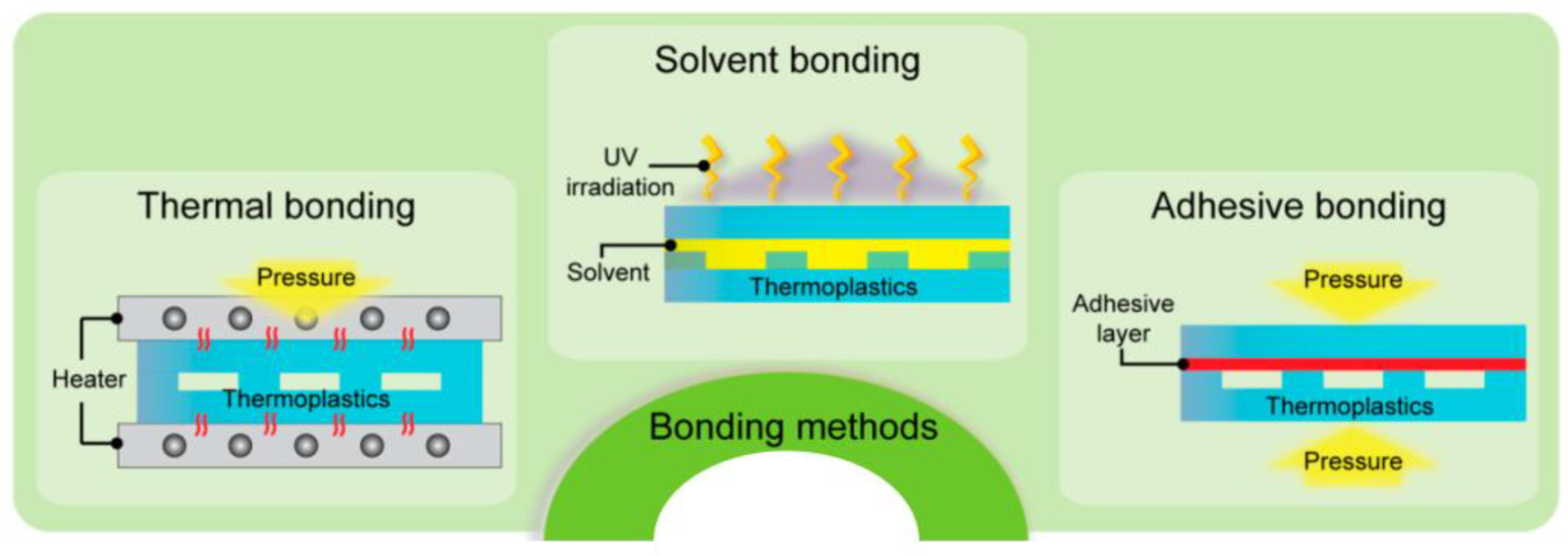 Biosensors 14 00249 g006