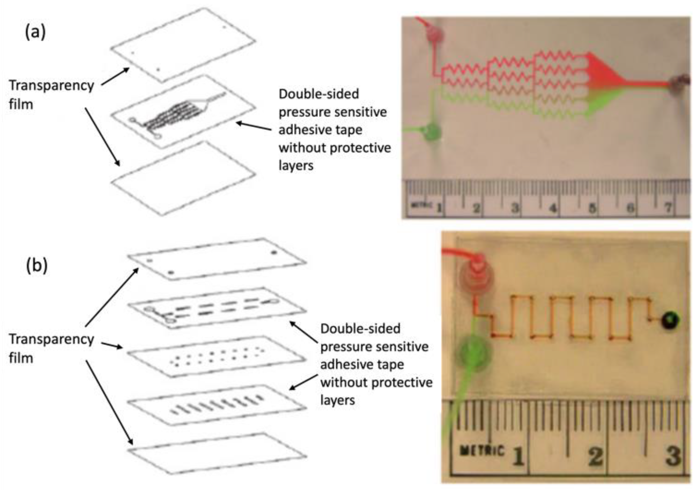 Biosensors 14 00249 g010