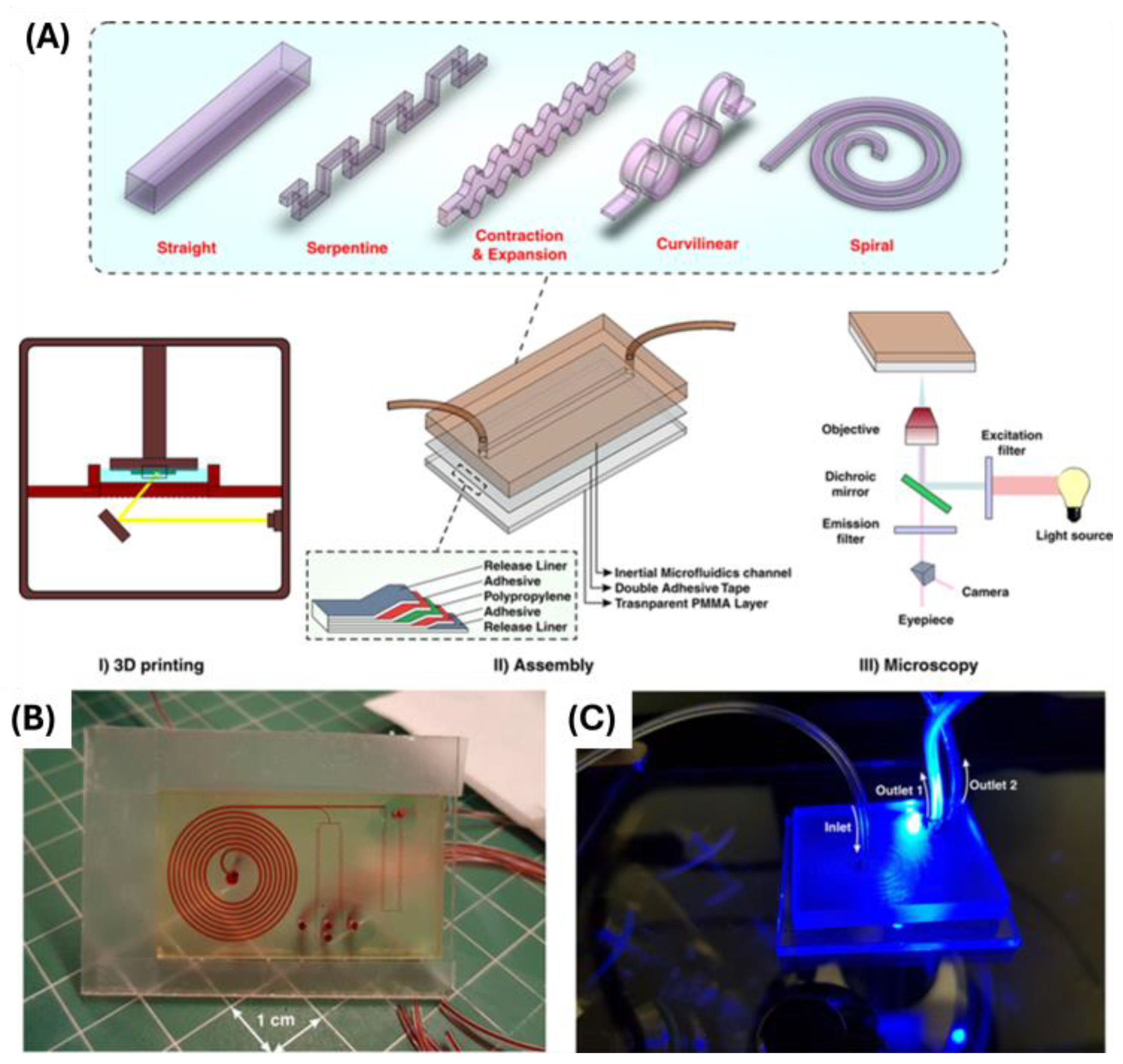 Biosensors 14 00249 g011
