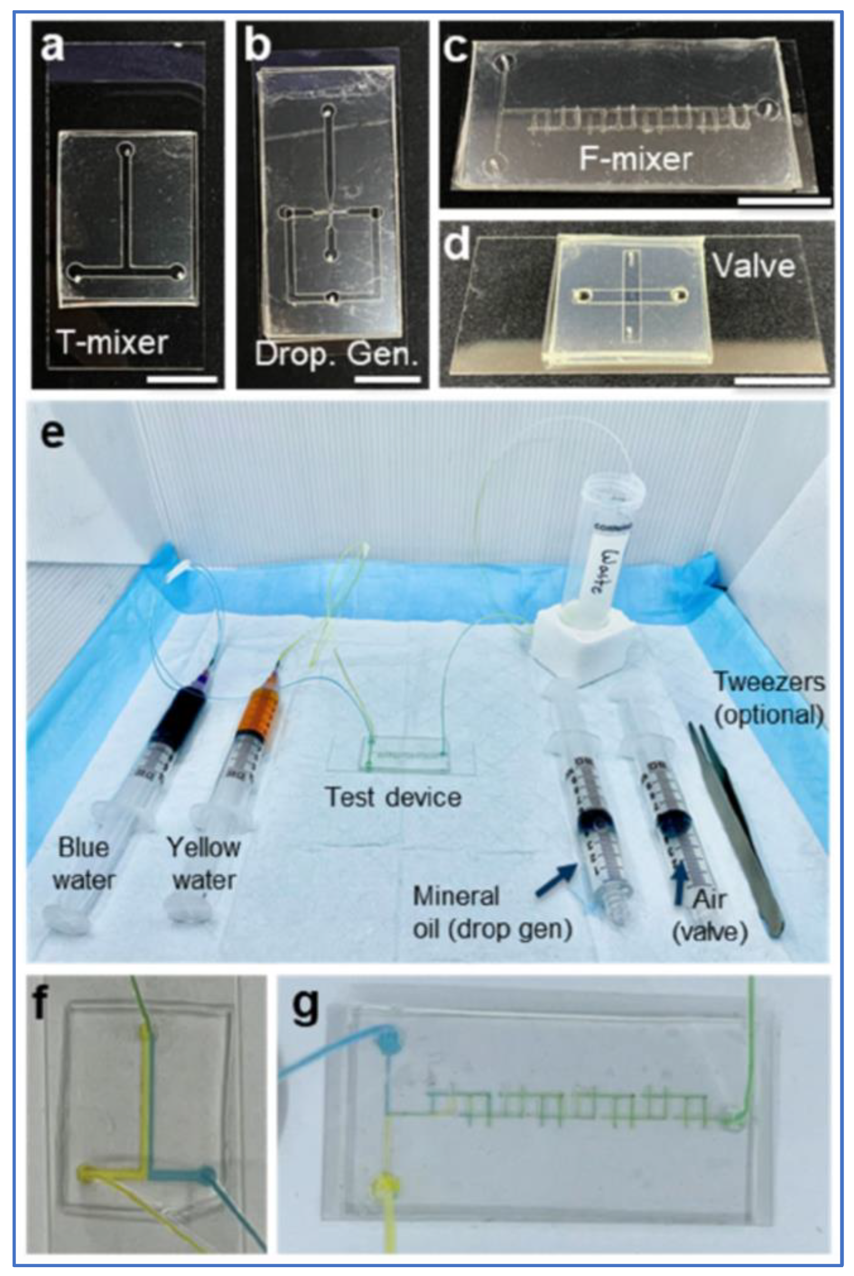 Biosensors 14 00249 g015