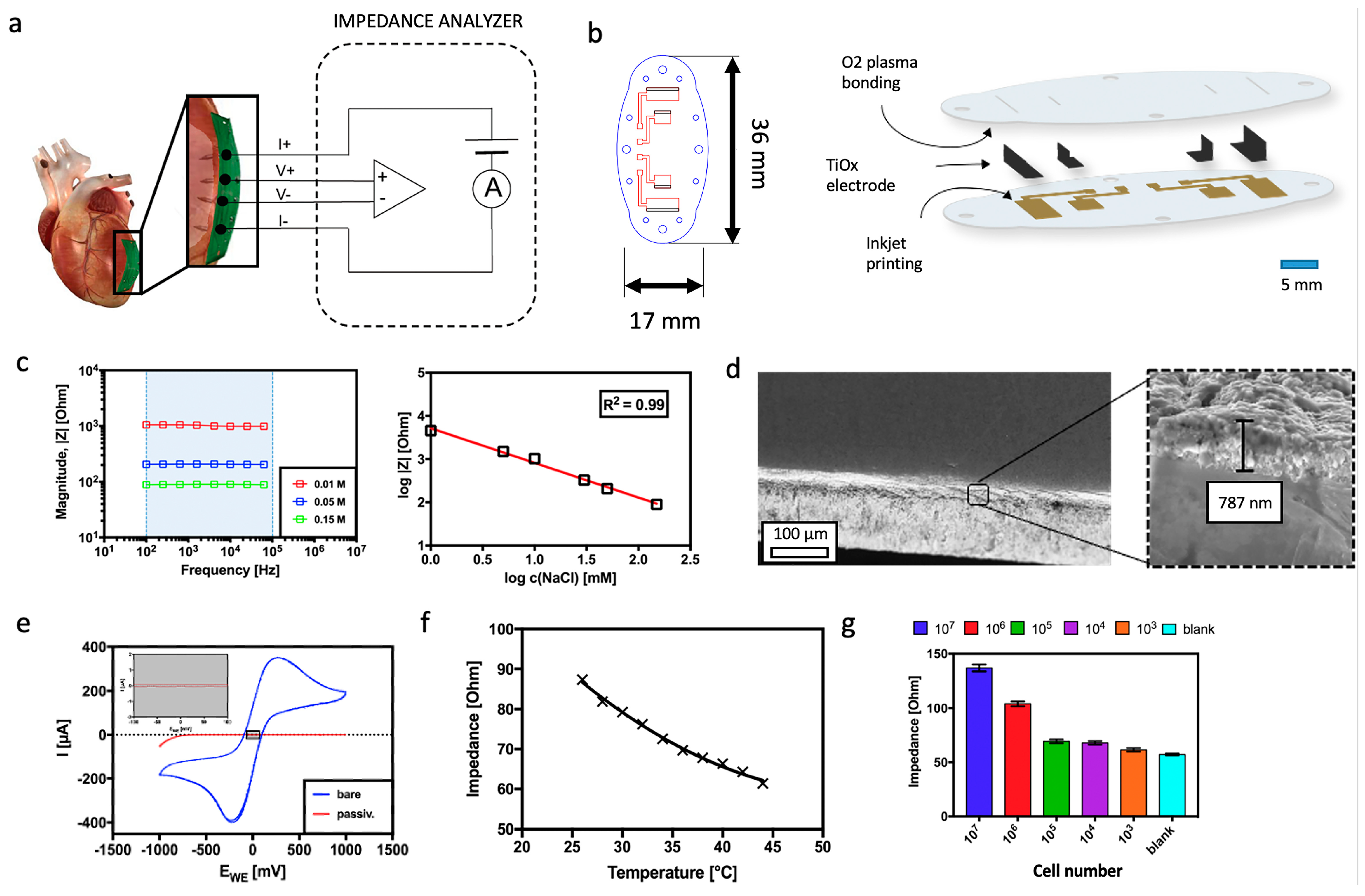 Biosensors 14 00253 g001
