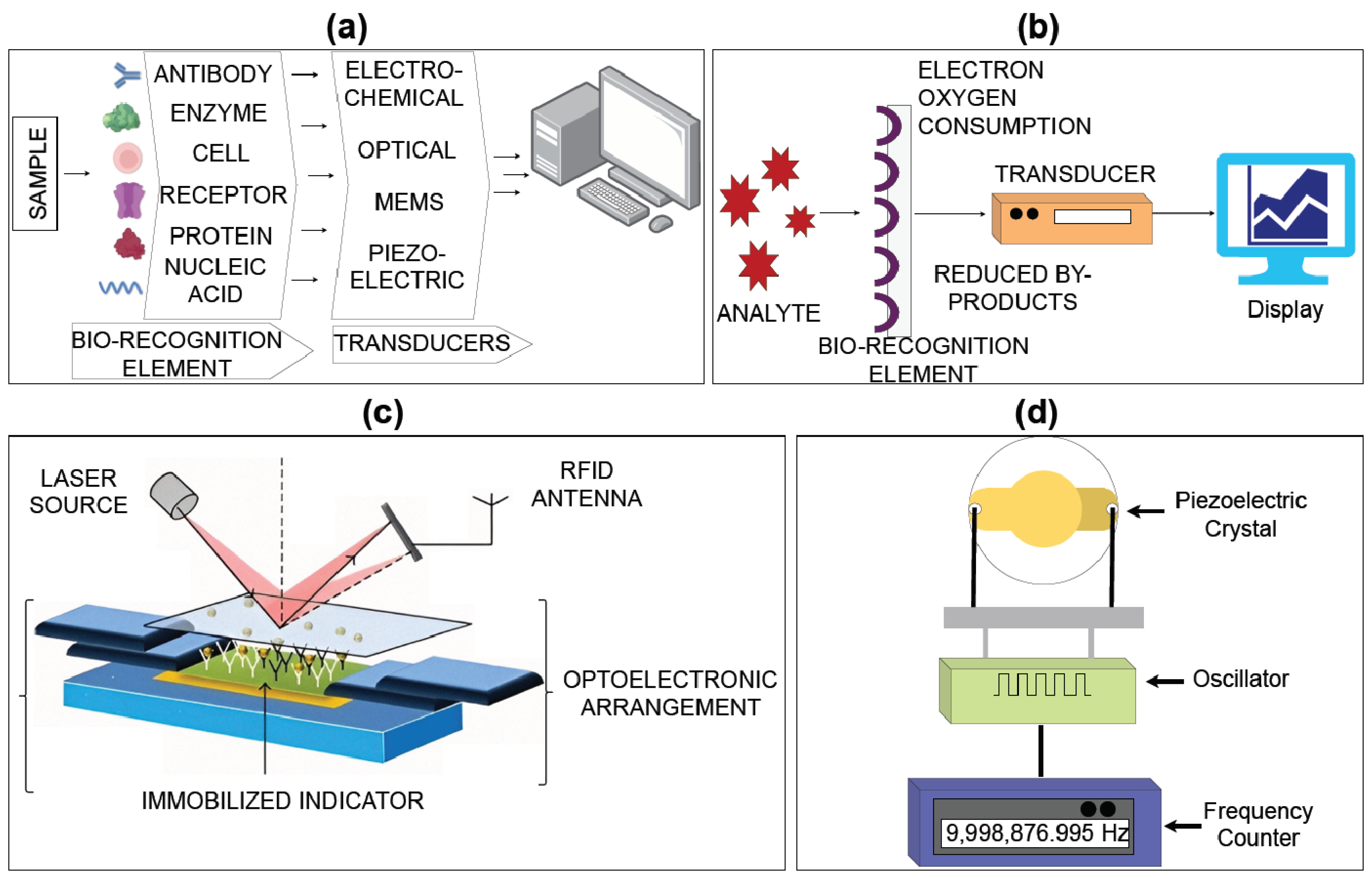 Biosensors 14 00254 g003 Biosensors 14 00254 g003