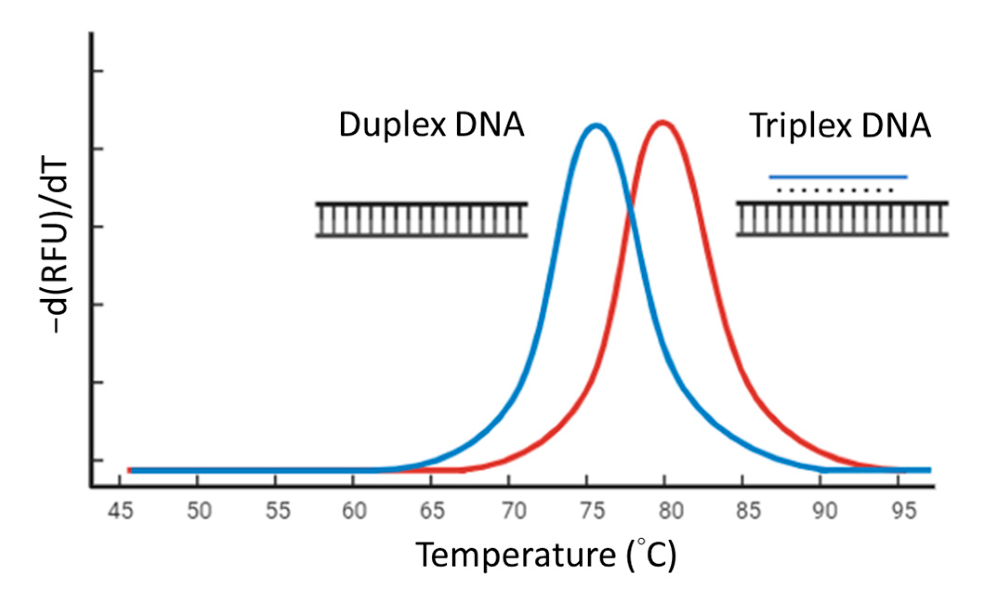 Biosensors 14 00257 g001