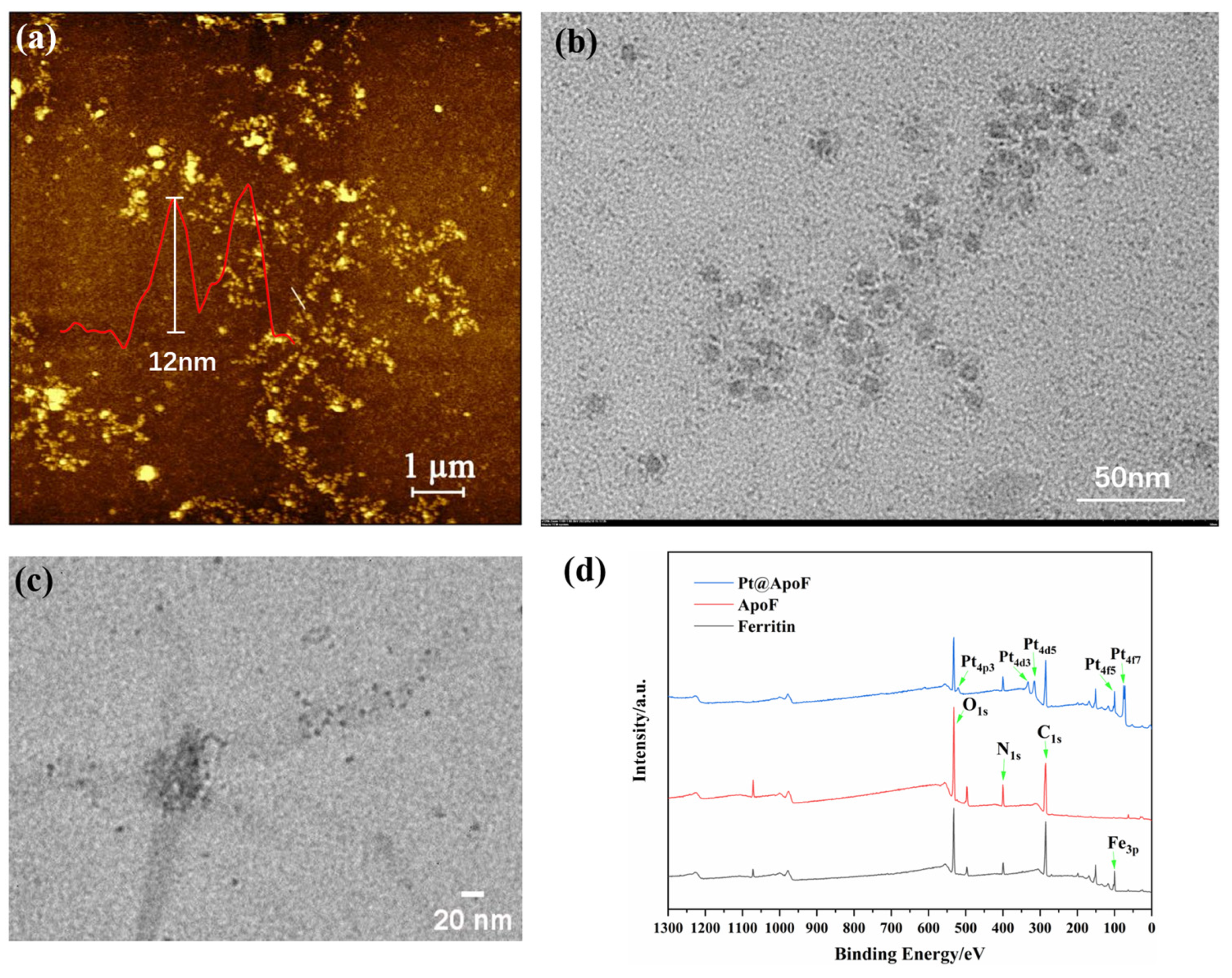 Biosensors 14 00258 g002
