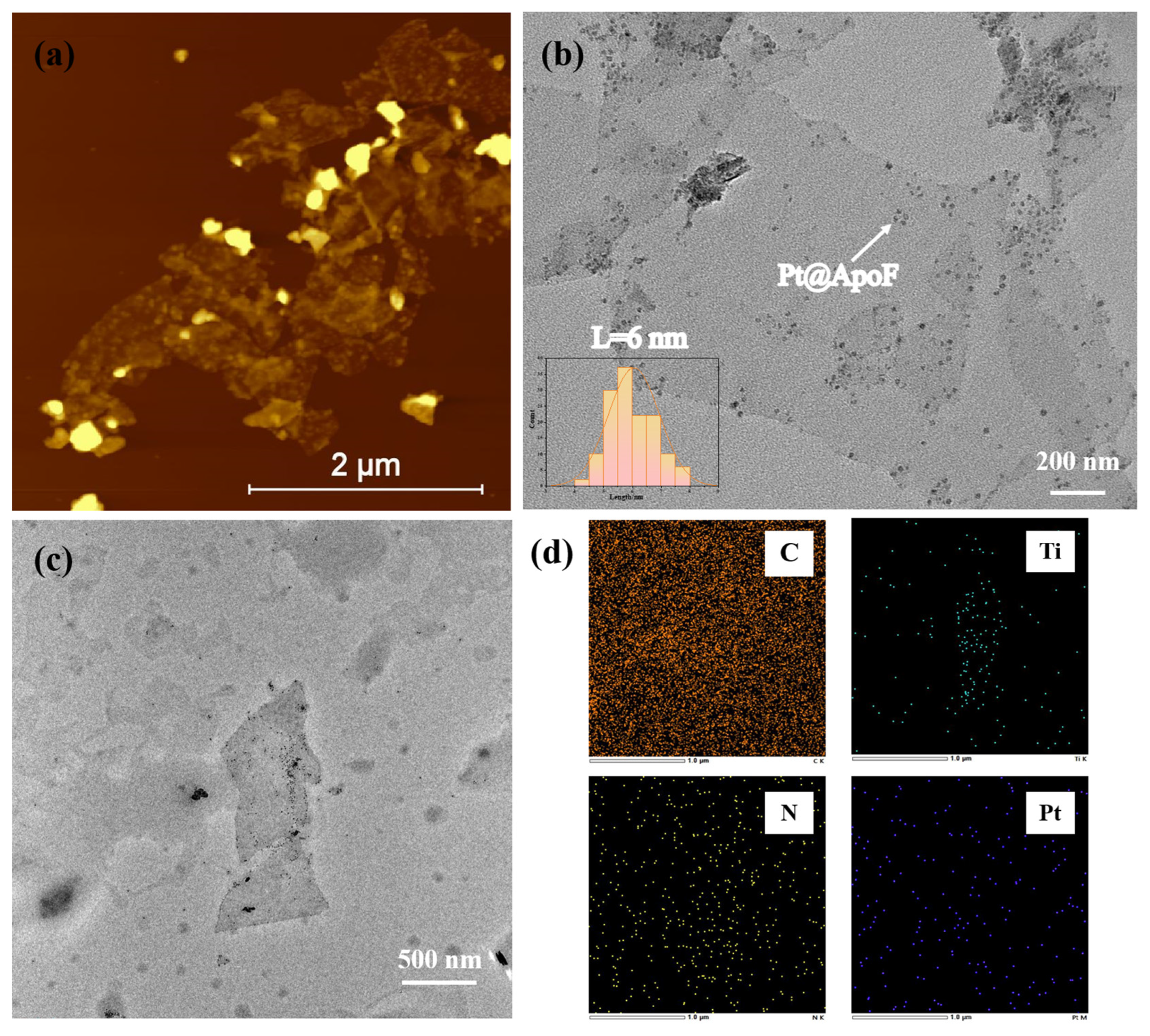 Biosensors 14 00258 g003