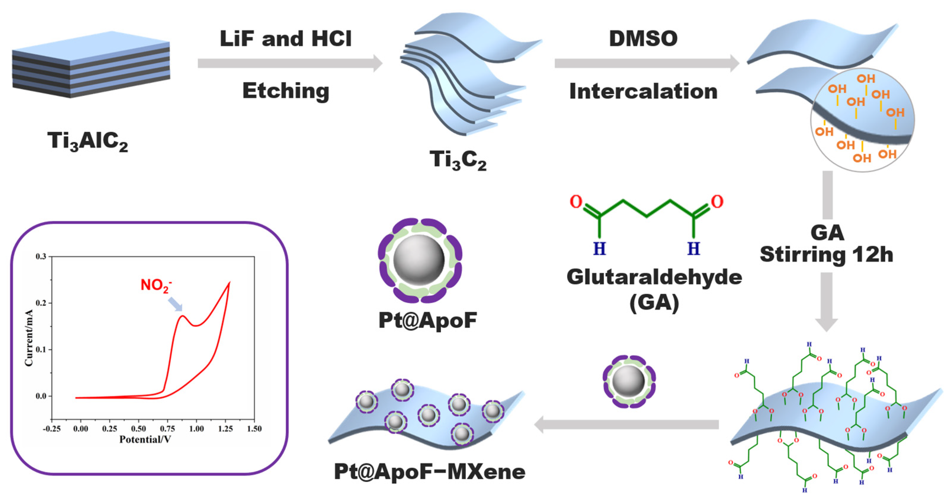 Biosensors 14 00258 sch001