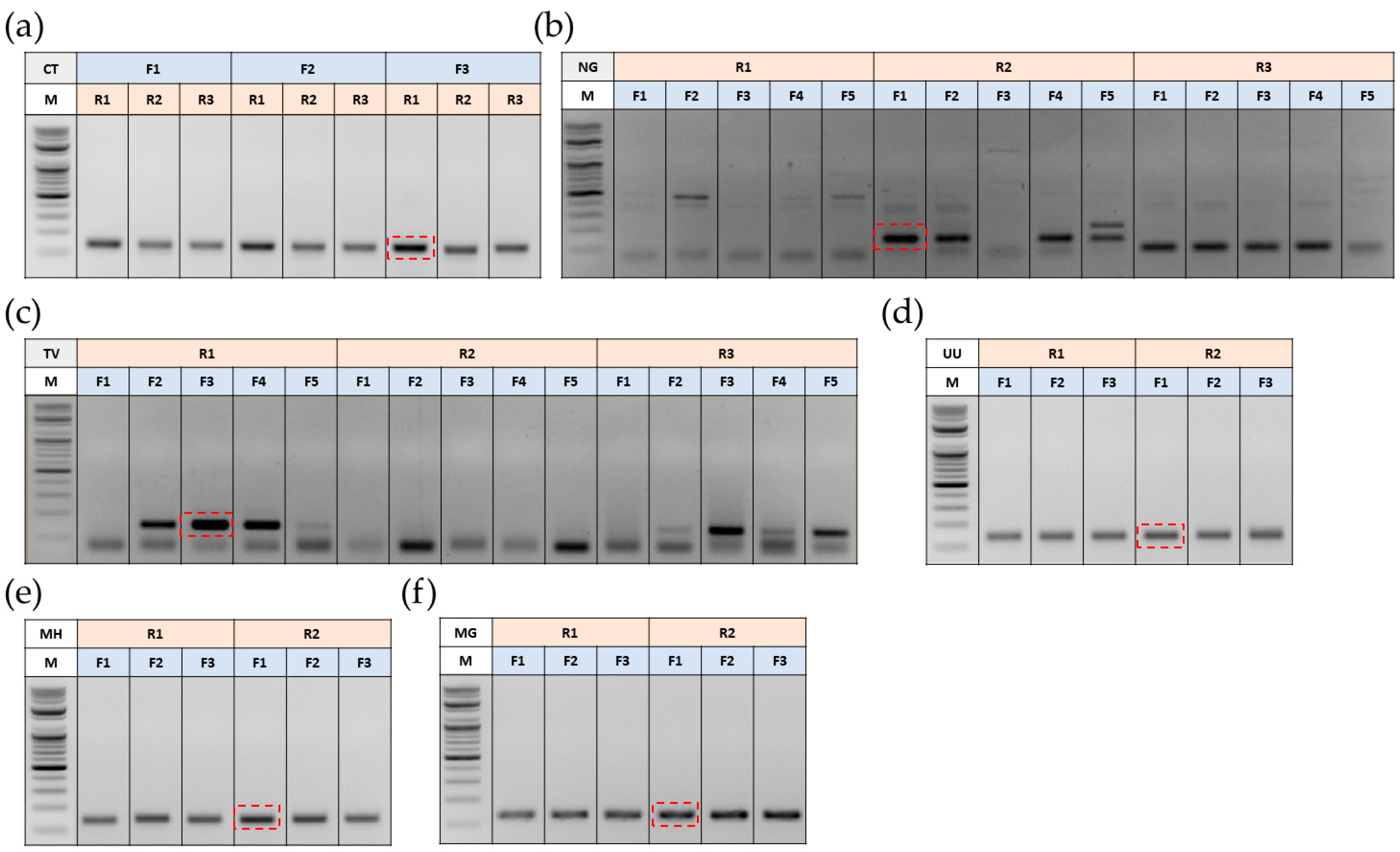 Biosensors 14 00260 g001