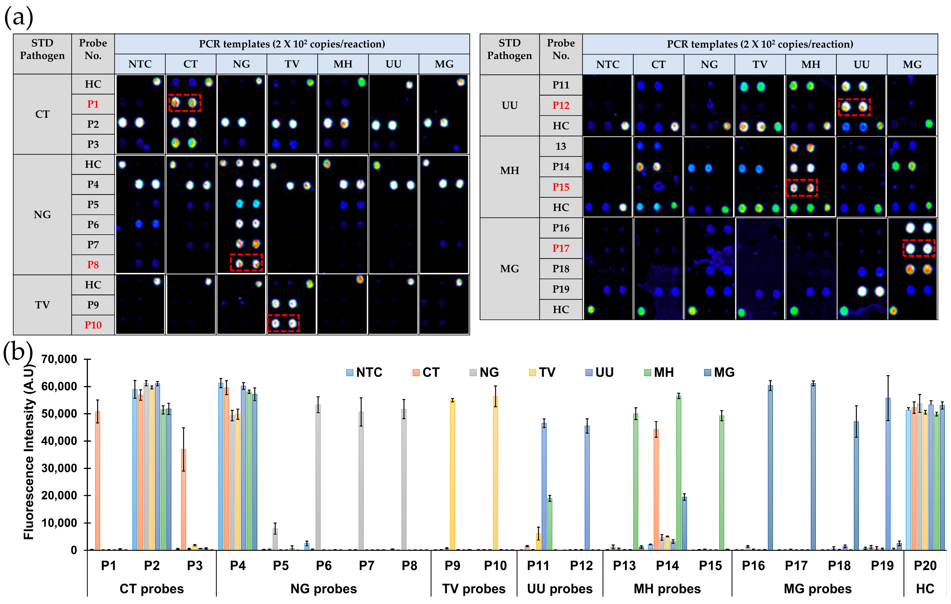 Biosensors 14 00260 g002