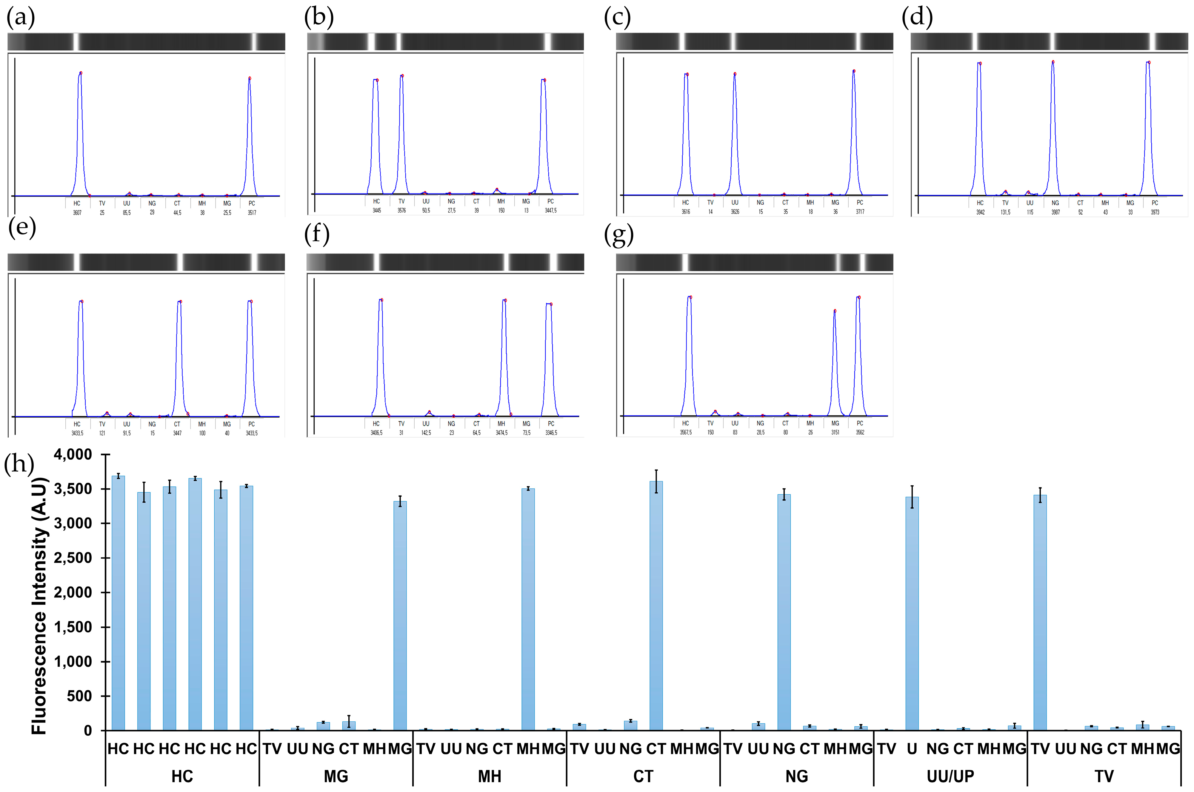Biosensors 14 00260 g003