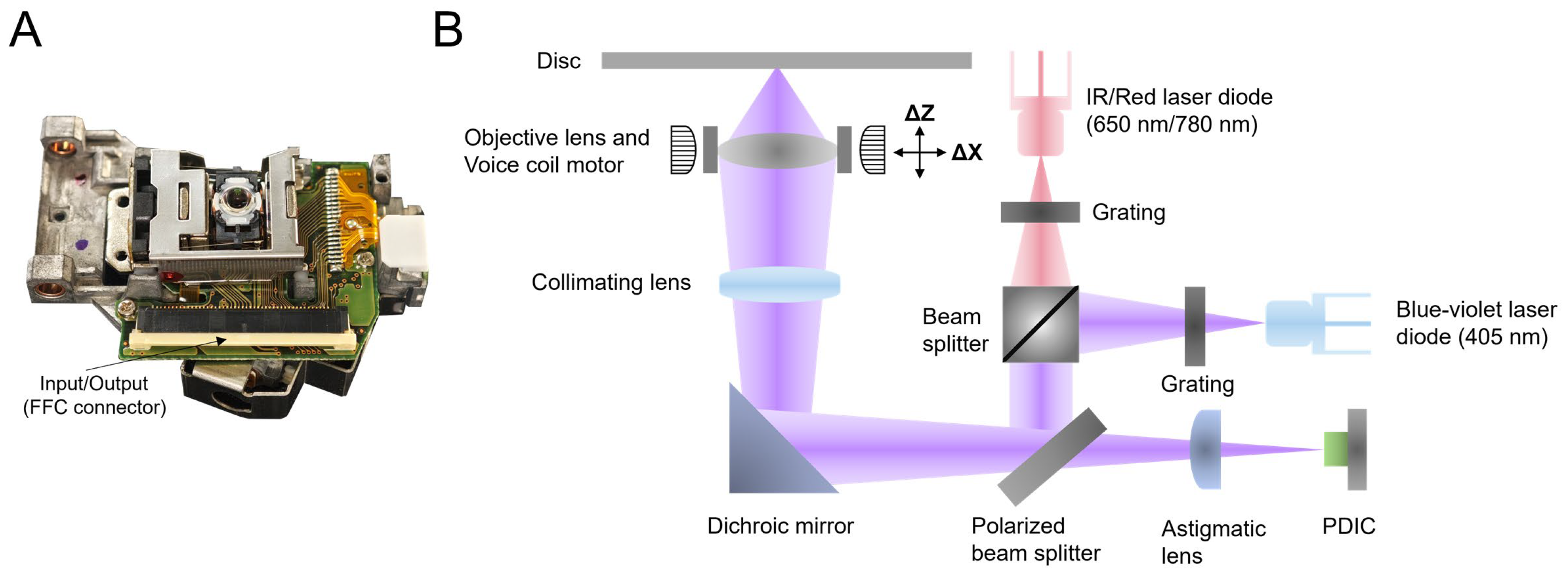 Biosensors 14 00263 g002